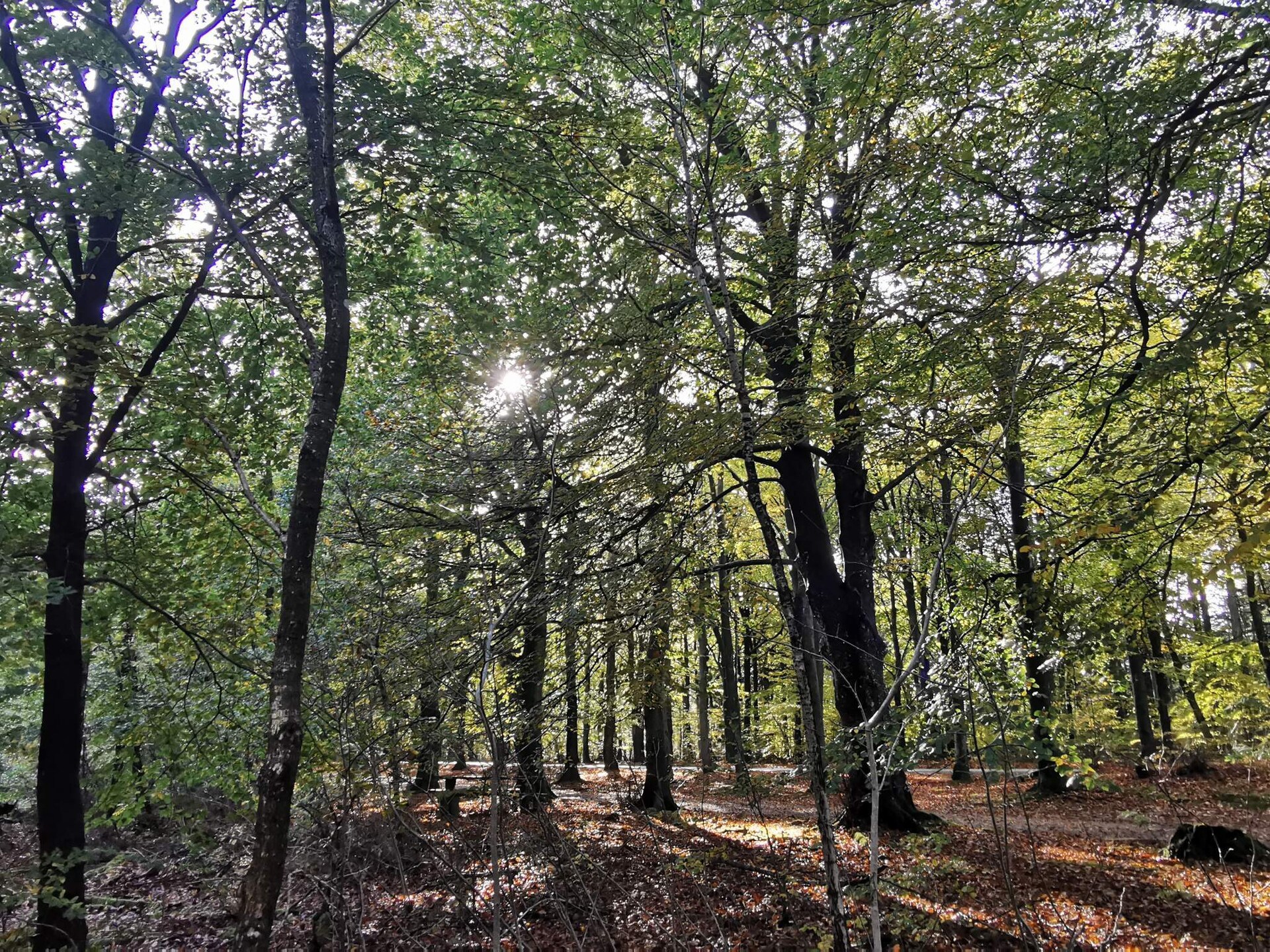 Gezellig vakantiehuis voor 4 personen in het natuurrijke Henne - foto 9