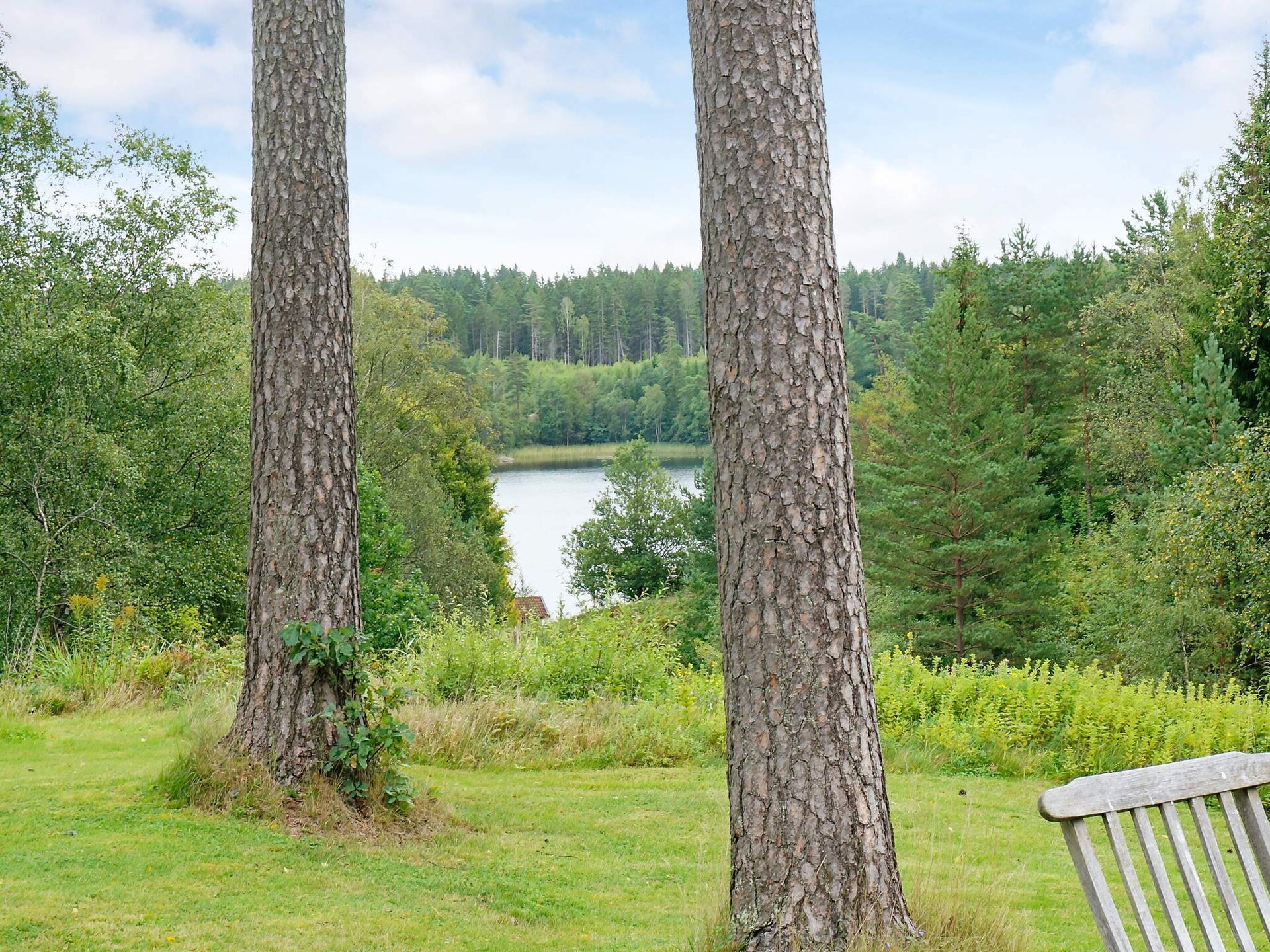 Sfeervol vakantiehuis met uitzicht op bos en meer nabij Borås - foto 17