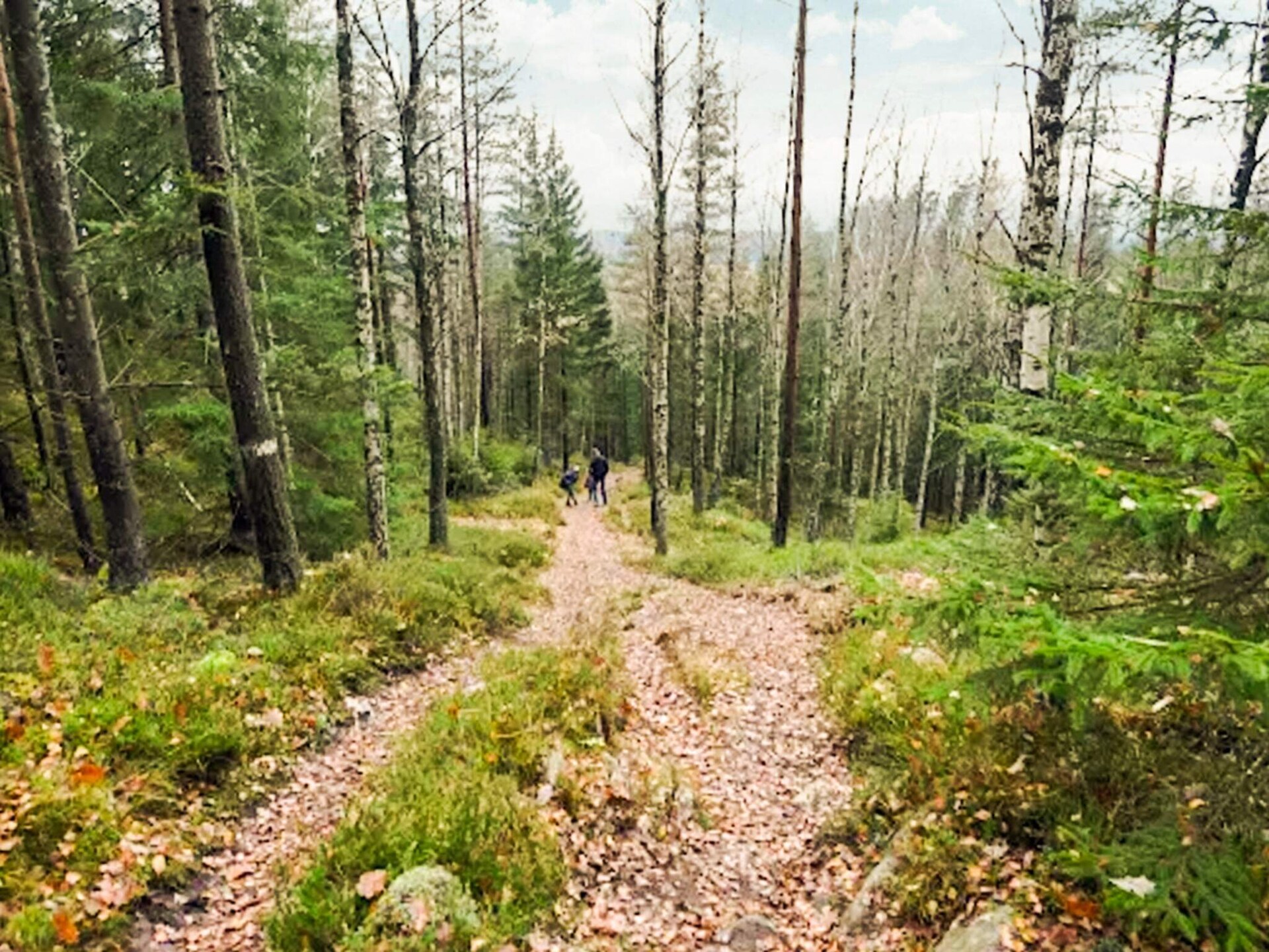 Sfeervol vakantiehuis met uitzicht op bos en meer nabij Borås - foto 15