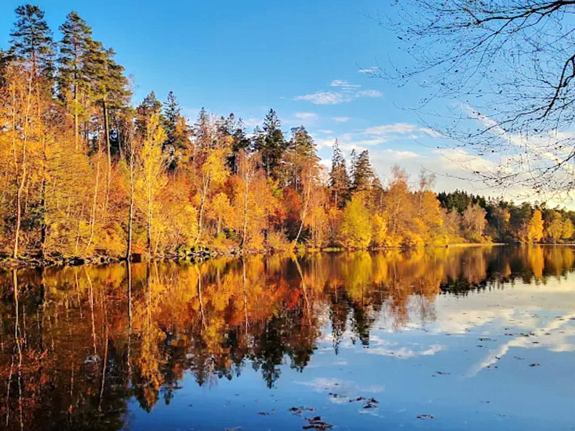 Sfeervol vakantiehuis met uitzicht op bos en meer nabij Borås - foto 20