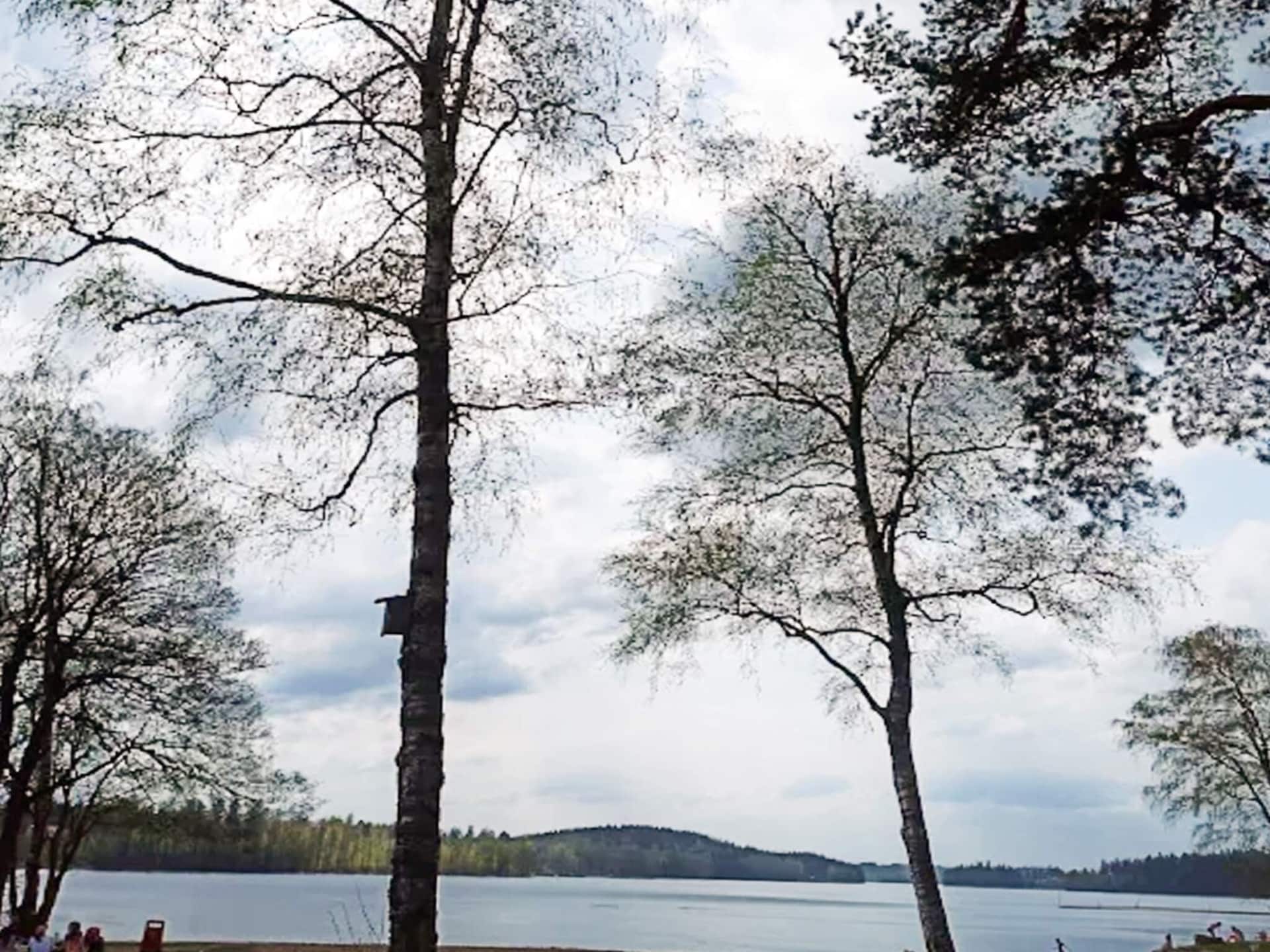 Sfeervol vakantiehuis met uitzicht op bos en meer nabij Borås - foto 28