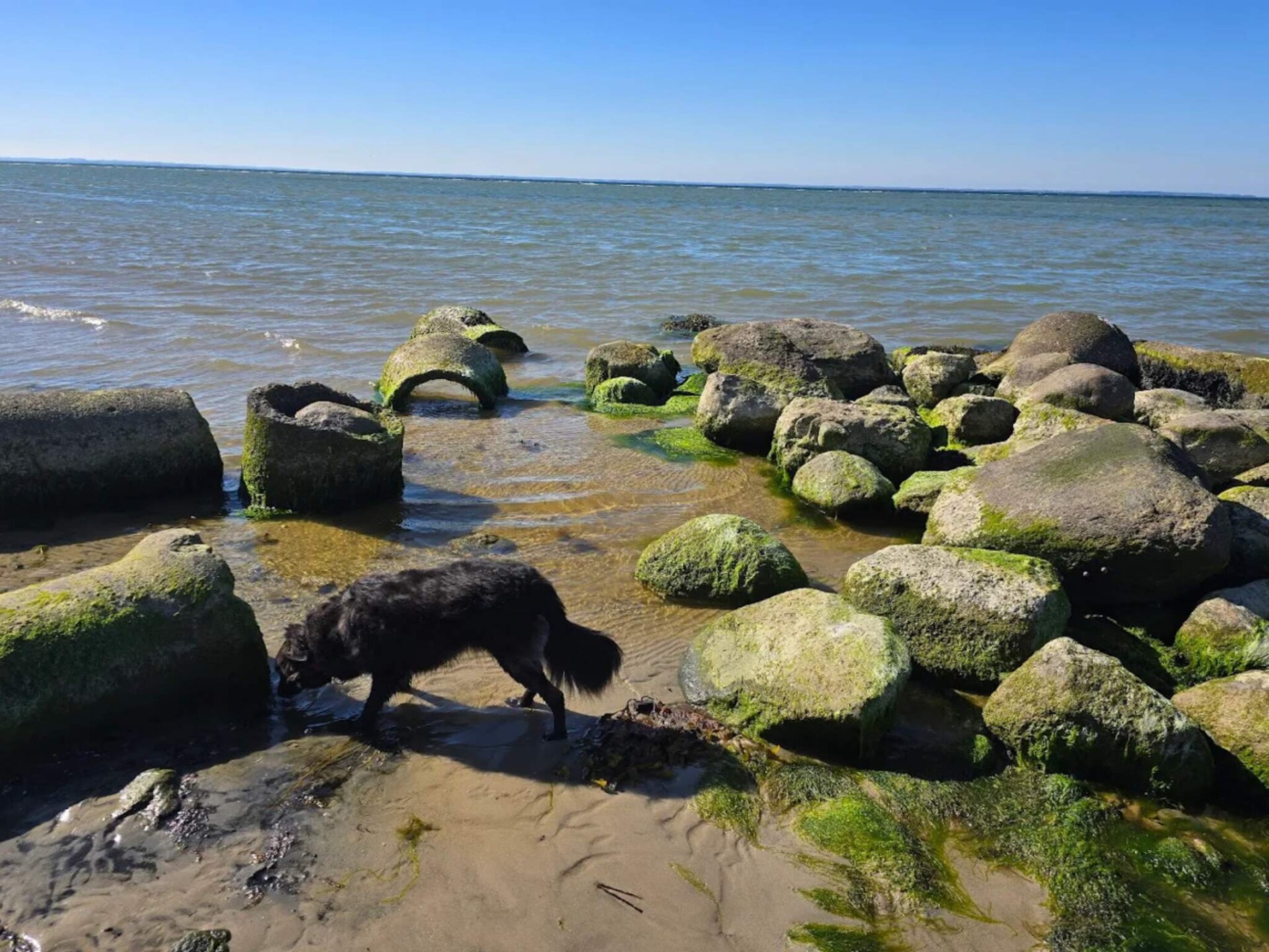 Aan zee: Ruim vakantiehuis in Nordborg voor 12 personen - foto 19