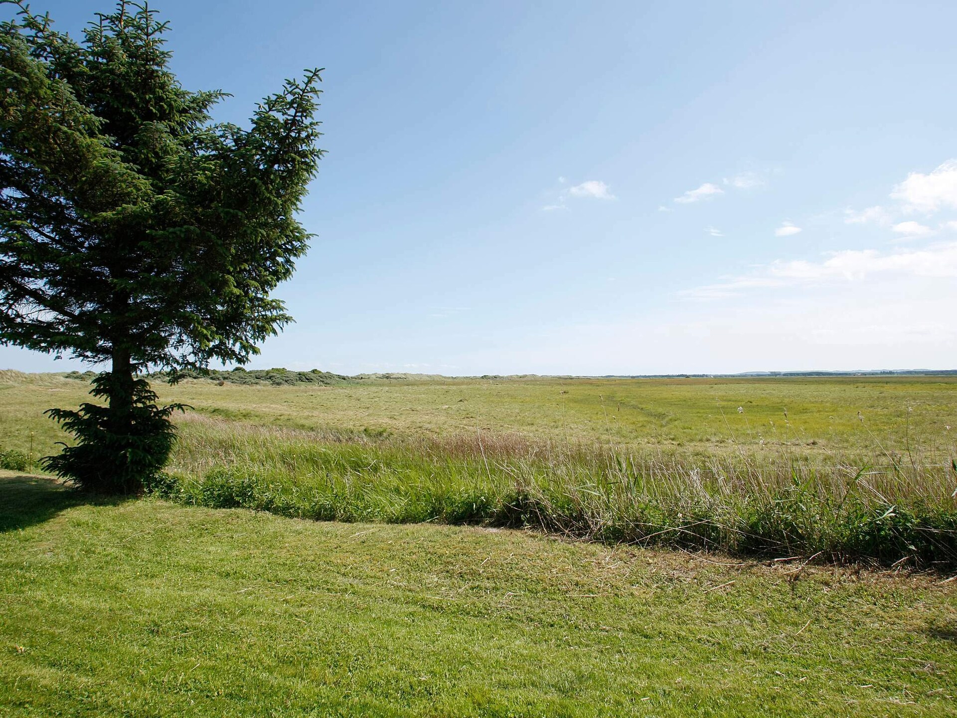 Vrijstaand vakantiehuis met zwembad en sauna direct achter de duinen bij Jerup - foto 22