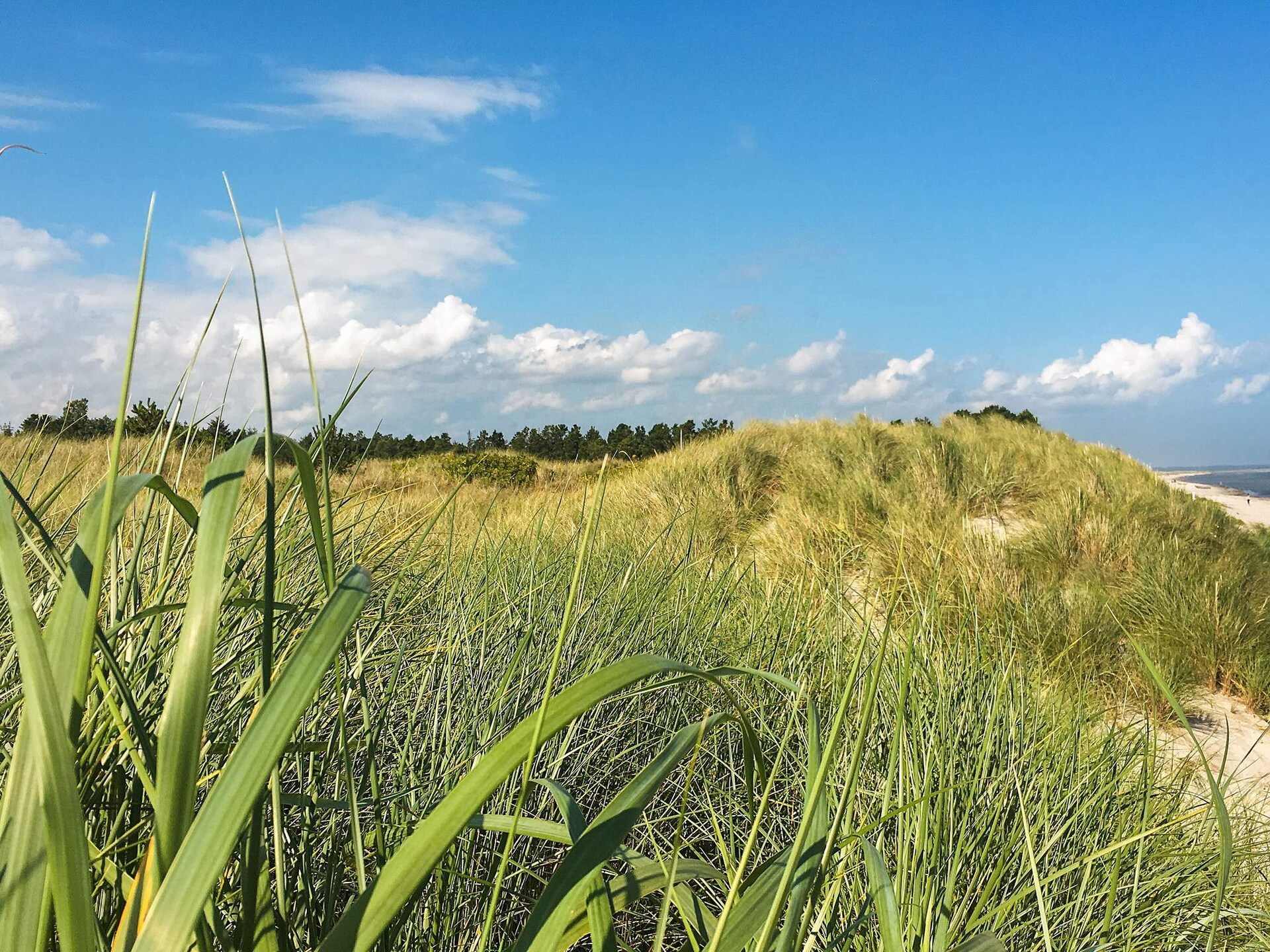 Zonovergoten vakantiehuis bij kindvriendelijk zandstrand in Jerup - foto 16
