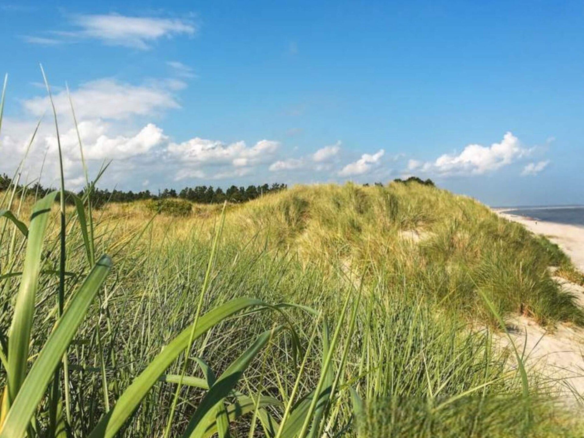 Zonovergoten vakantiehuis bij kindvriendelijk zandstrand in Jerup - foto 10