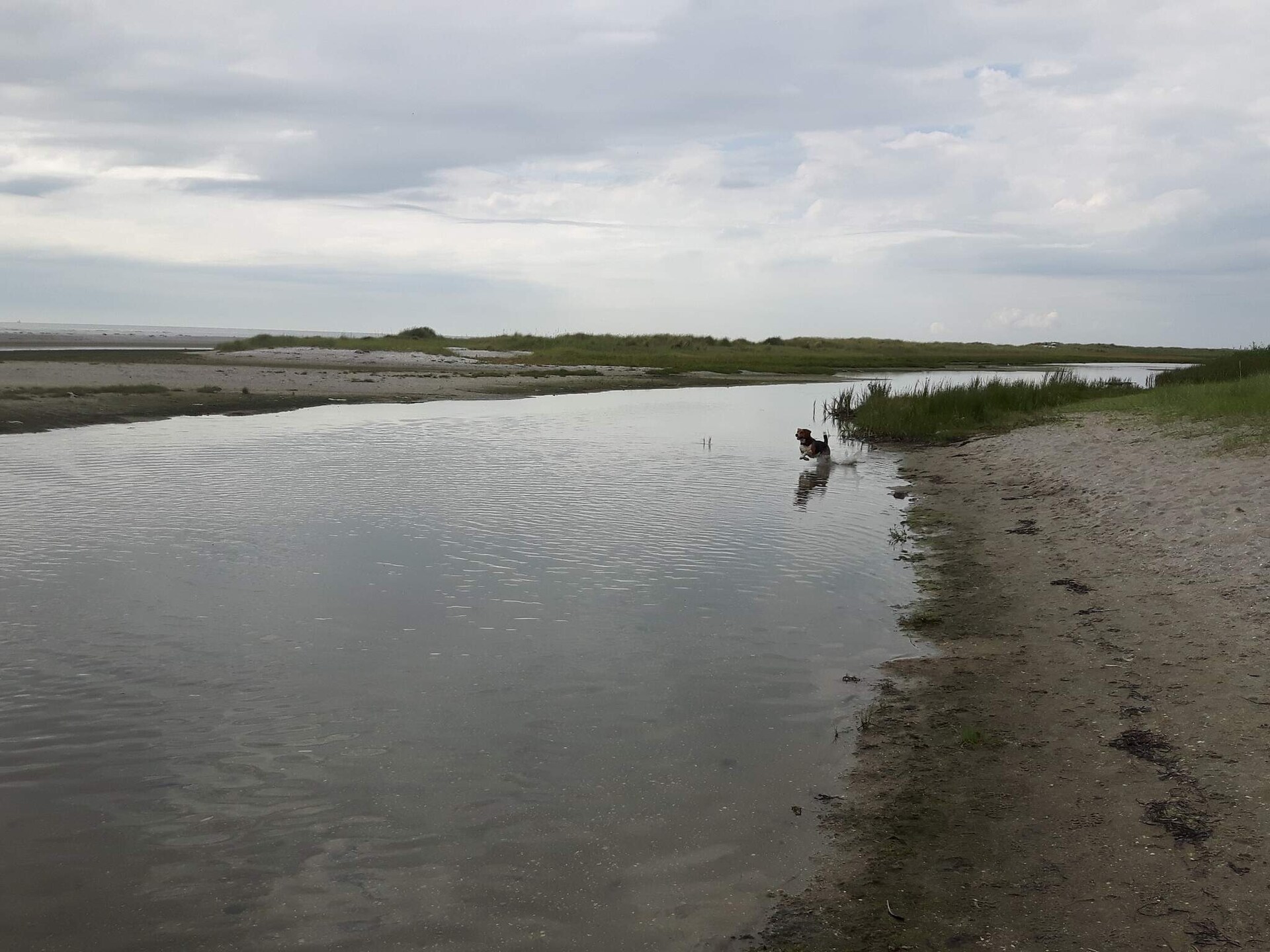 Knus vrijstaand vakantiehuis op 300 meter van de zee bij Hals - foto 12