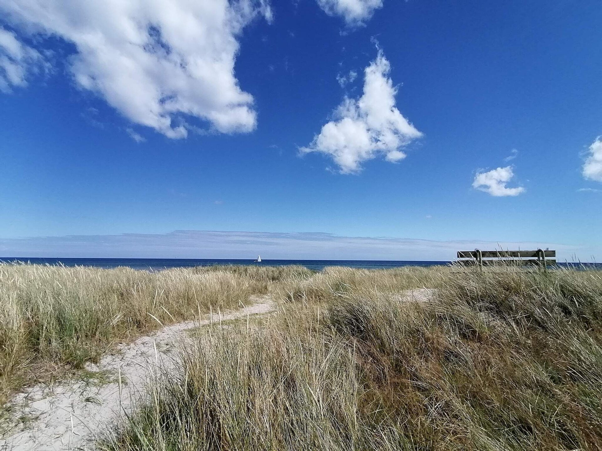 Knus vrijstaand vakantiehuis op 300 meter van de zee bij Hals - foto 17