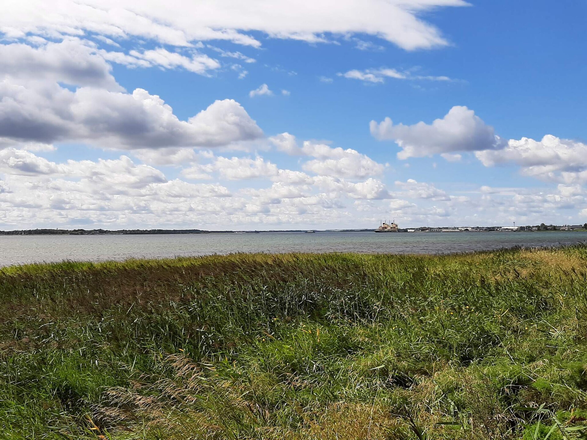 Knus vrijstaand vakantiehuis op 300 meter van de zee bij Hals - foto 20