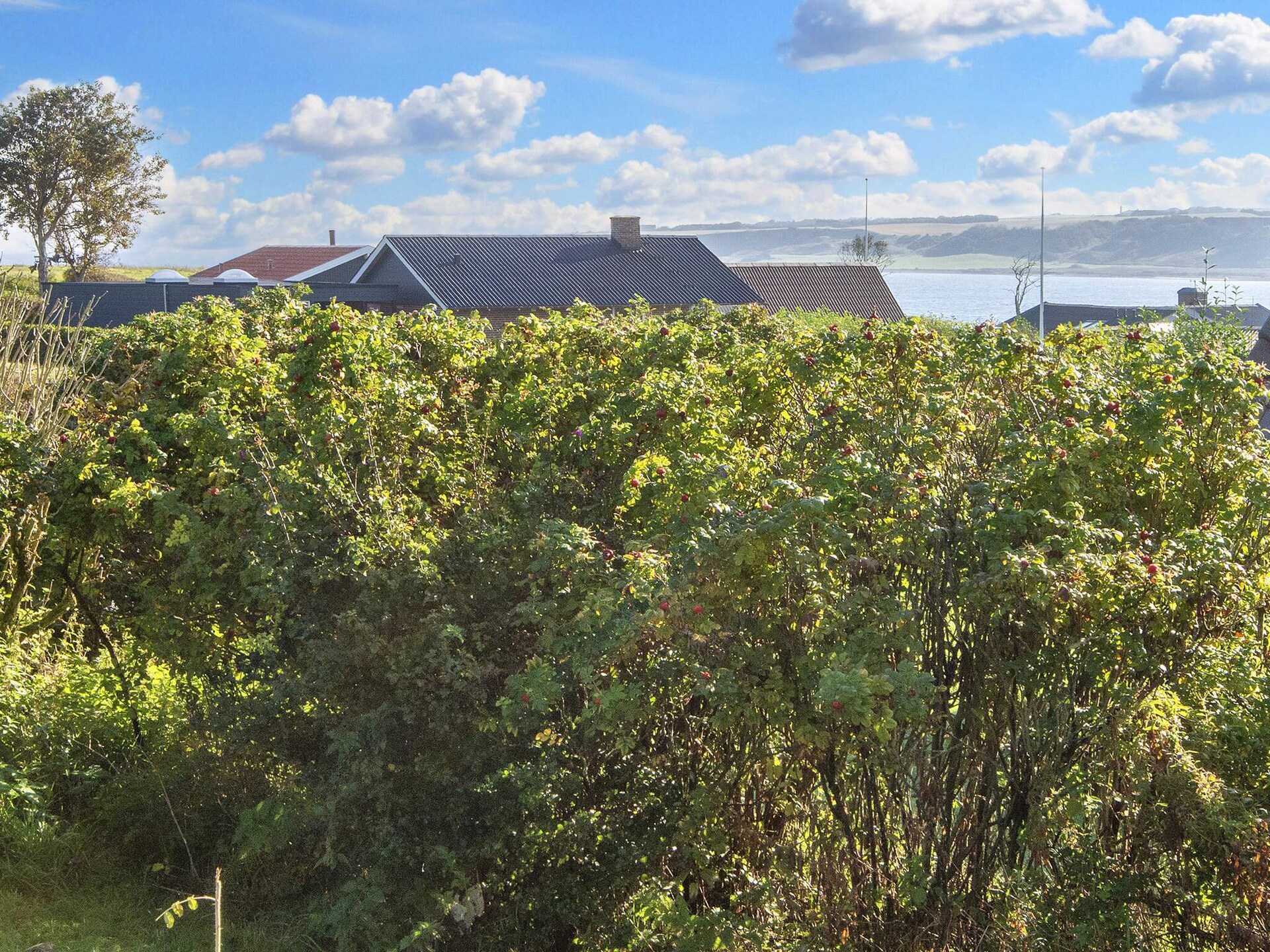 Vrijstaand vakantiehuis met Limfjord-uitzicht, 250m van zee, wellness - foto 8