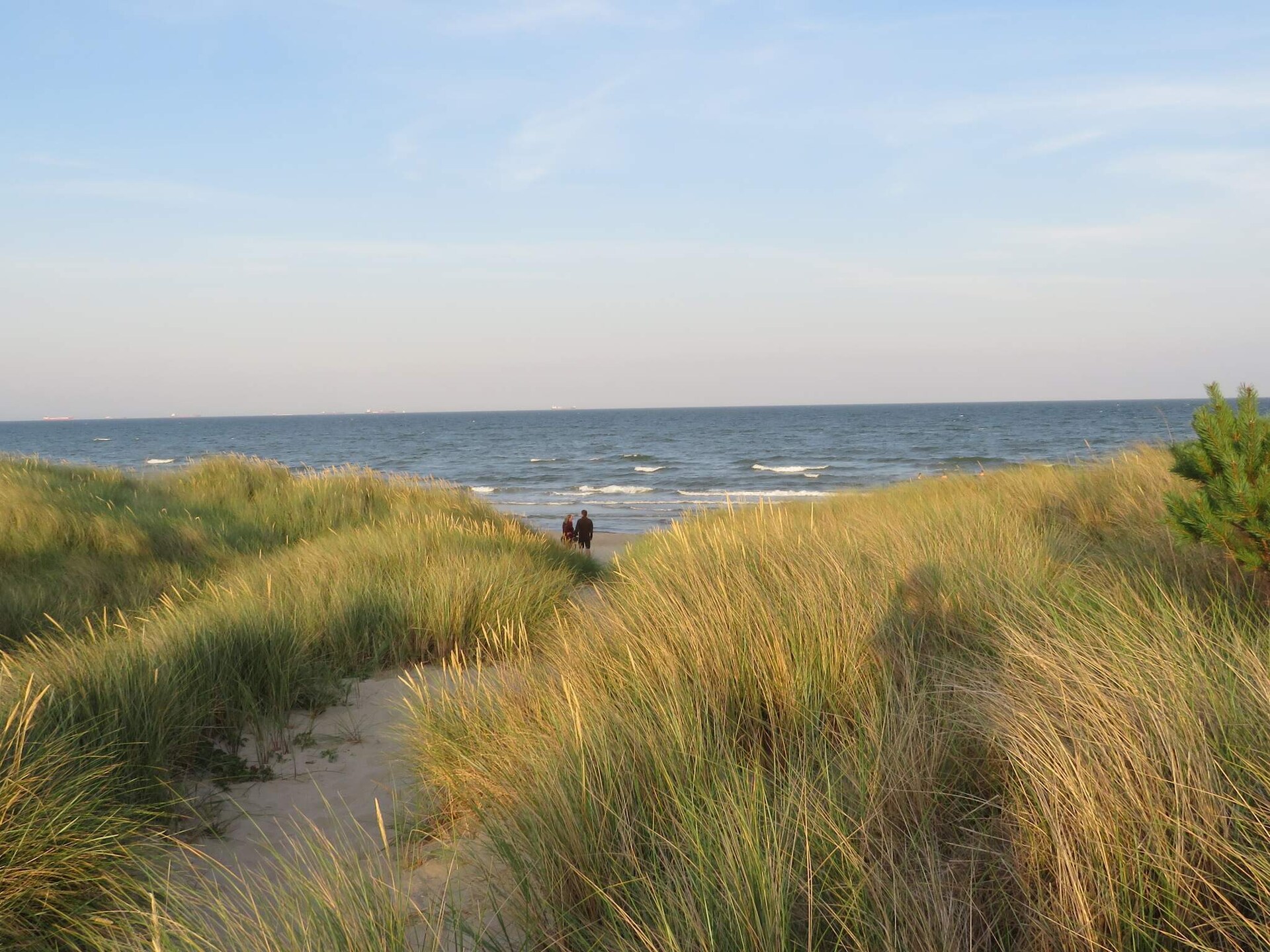 Knus duinhuis op 100 meter van het strand in Ålbæk - foto 3