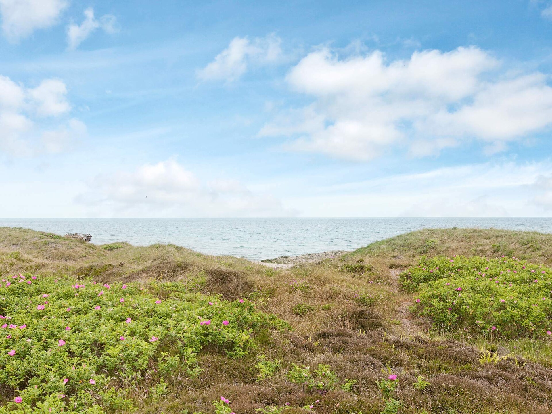 Ruim vakantiehuis met sauna op 200 meter van zee, Sjællands Odde - foto 3