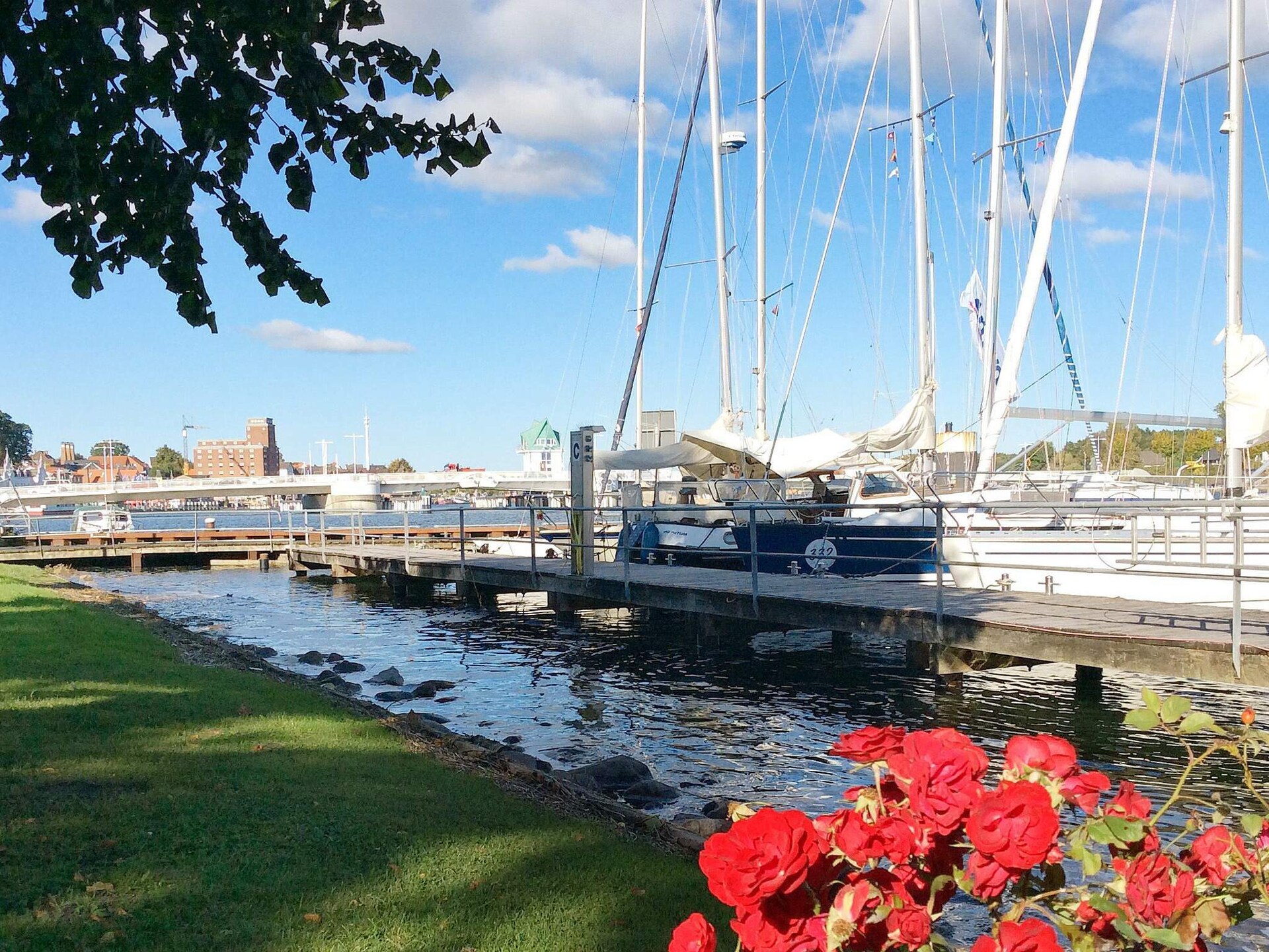 Op 950 m van zee: ruim vakantiehuis in Kappeln voor 24 personen · 298 m² - foto 29