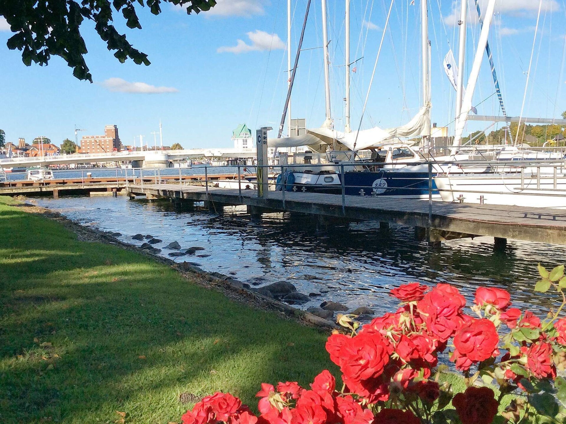 22-persoons vakantiehuis in Kappeln op 950m van zee - foto 15