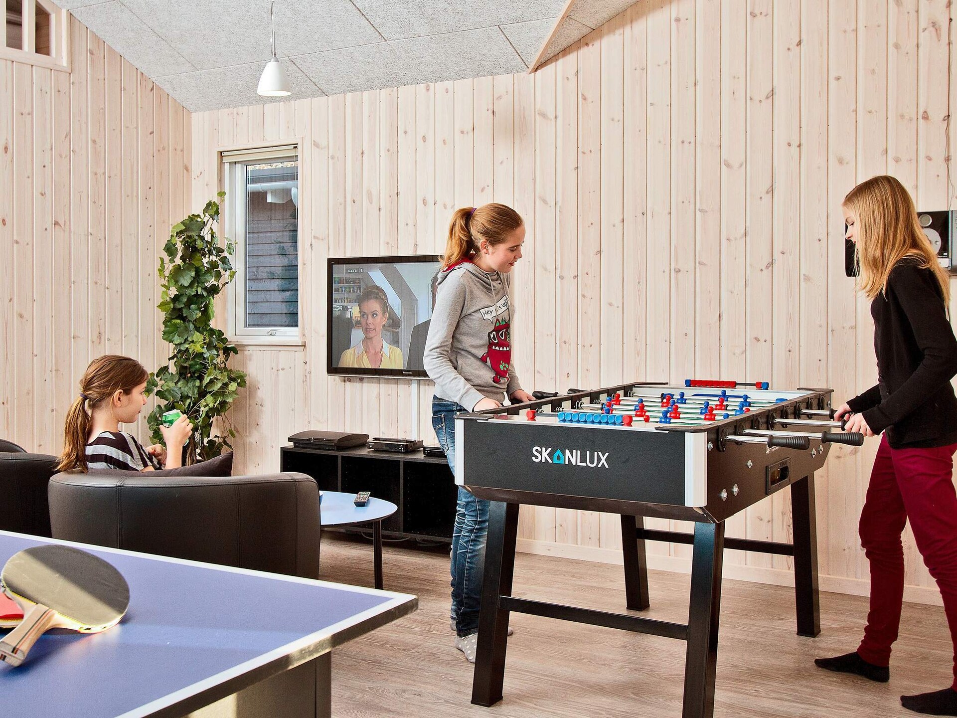 Luxe vakantievilla met zwembad, sauna en game room voor 18 personen in Kappeln - foto 17