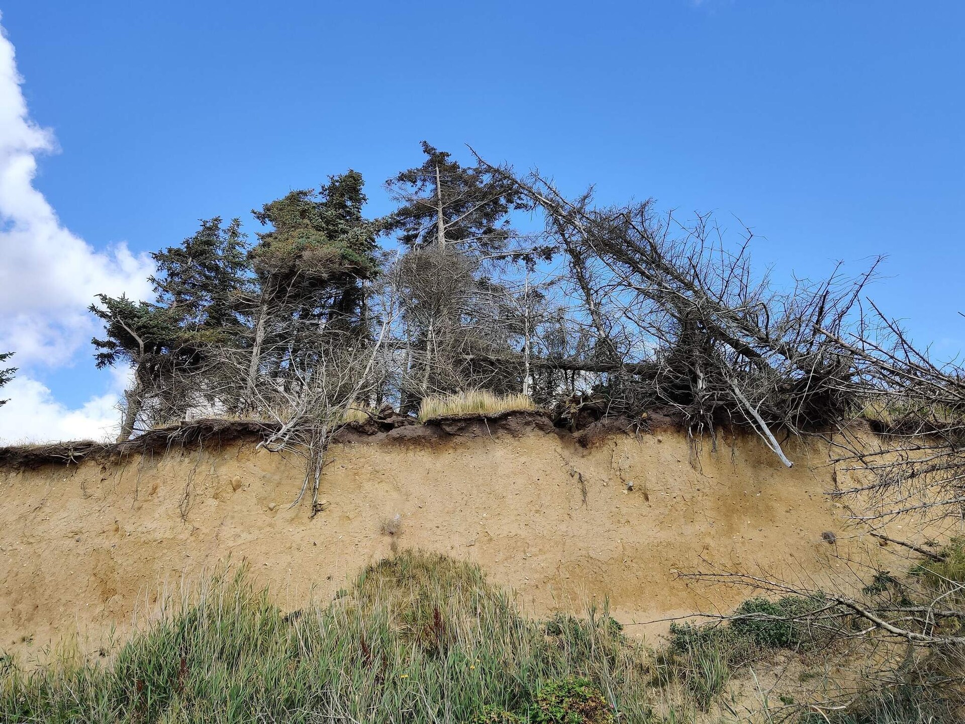 Panoramavakantiehuis aan het Limfjord met sauna, vlakbij het strand - foto 12