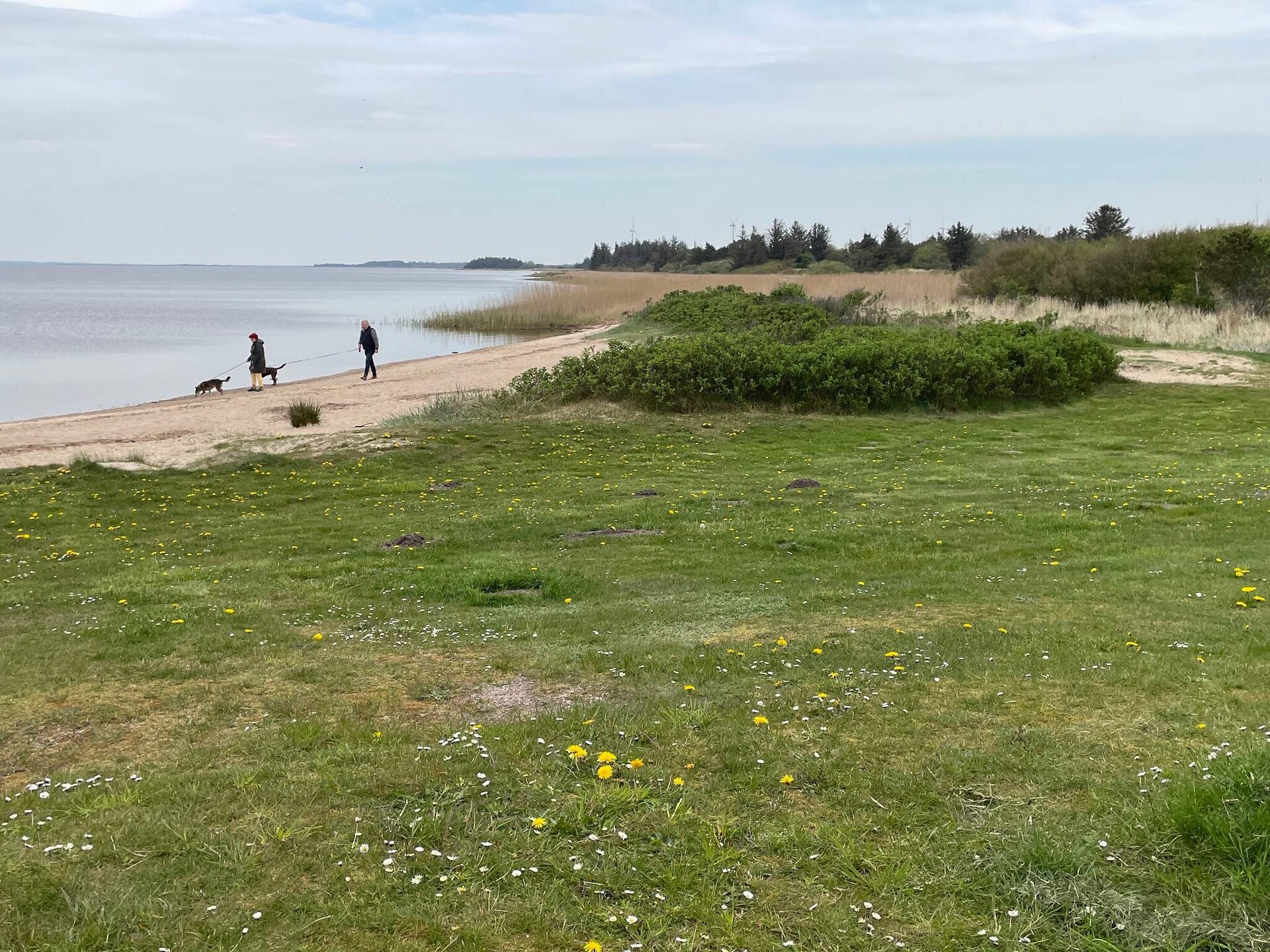 Vrijstaand vakantiehuis bij Bork Havn, 900m van het fjord - foto 3