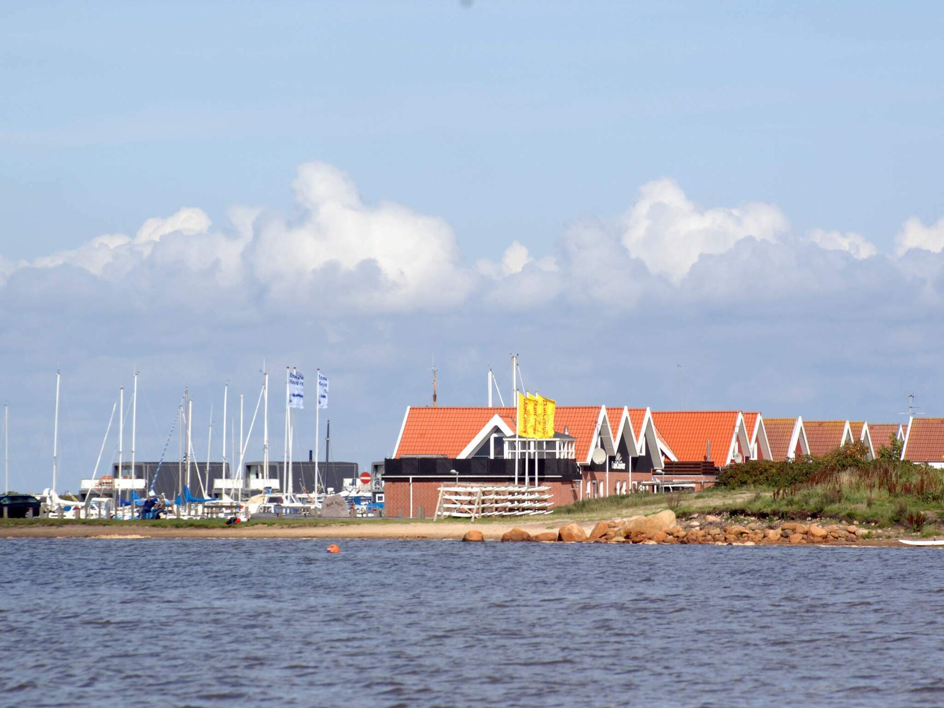 Eerstelijns vakantiehuis aan de Ringkøbing Fjord met panoramisch uitzicht - foto 31