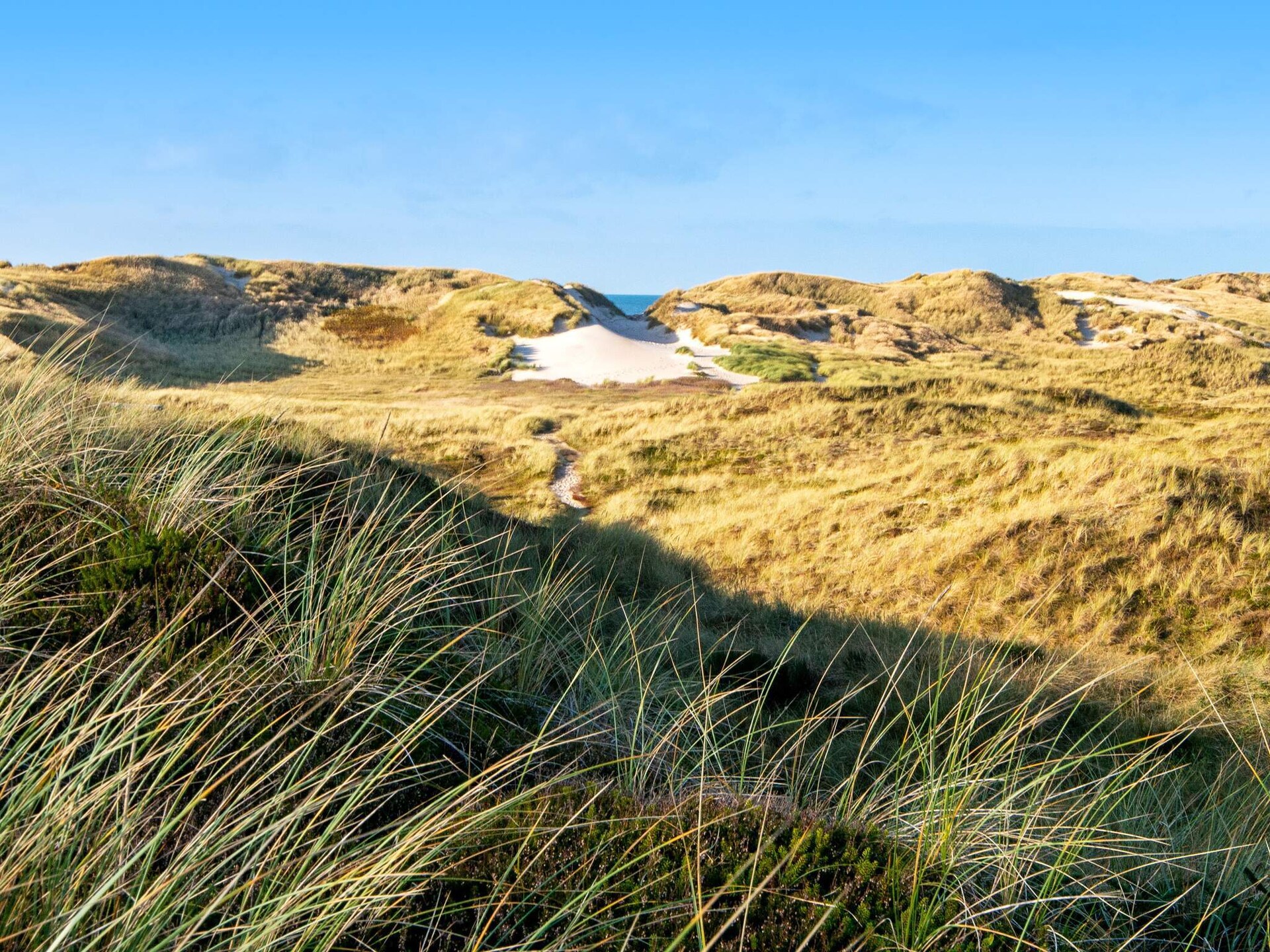 Aan zee: Ruim vakantiehuis in Ringkøbing met sauna en whirlpool · 6 pers. - foto 4
