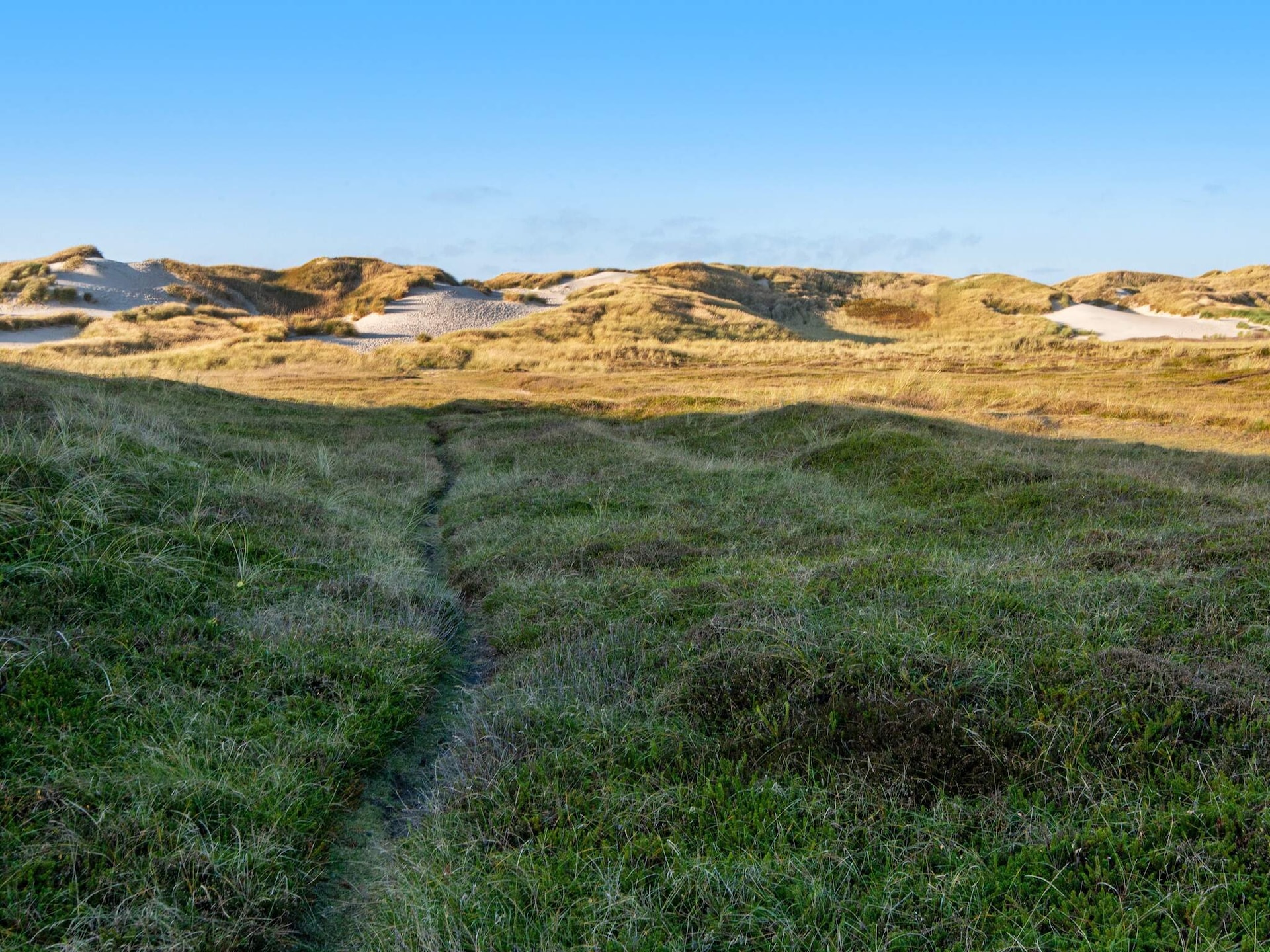 Aan zee: Ruim vakantiehuis in Ringkøbing met sauna en whirlpool · 6 pers. - foto 40