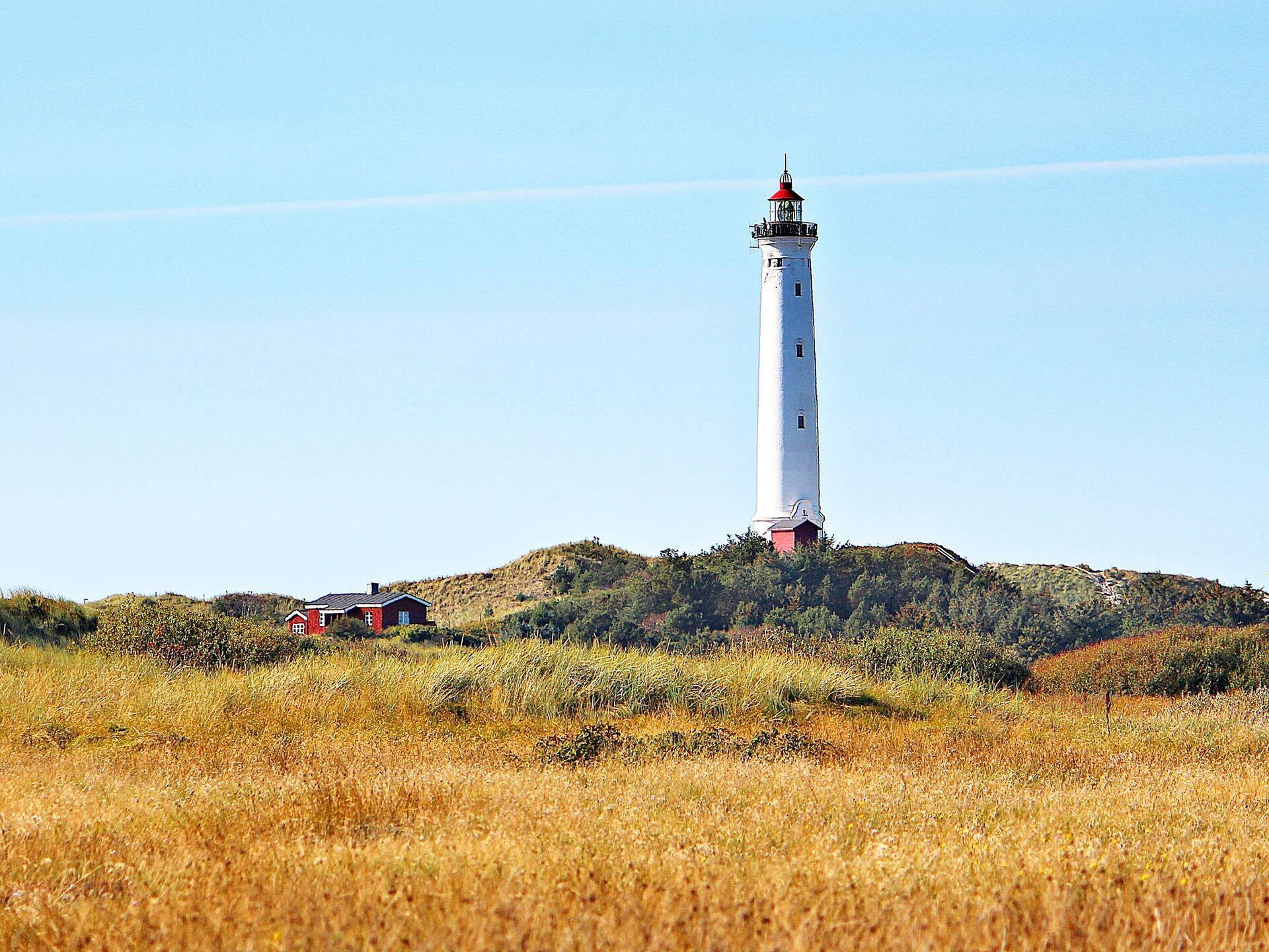Praktisch vakantiehuis op natuurrijk perceel, 800m van zee bij Hvide Sande - foto 31