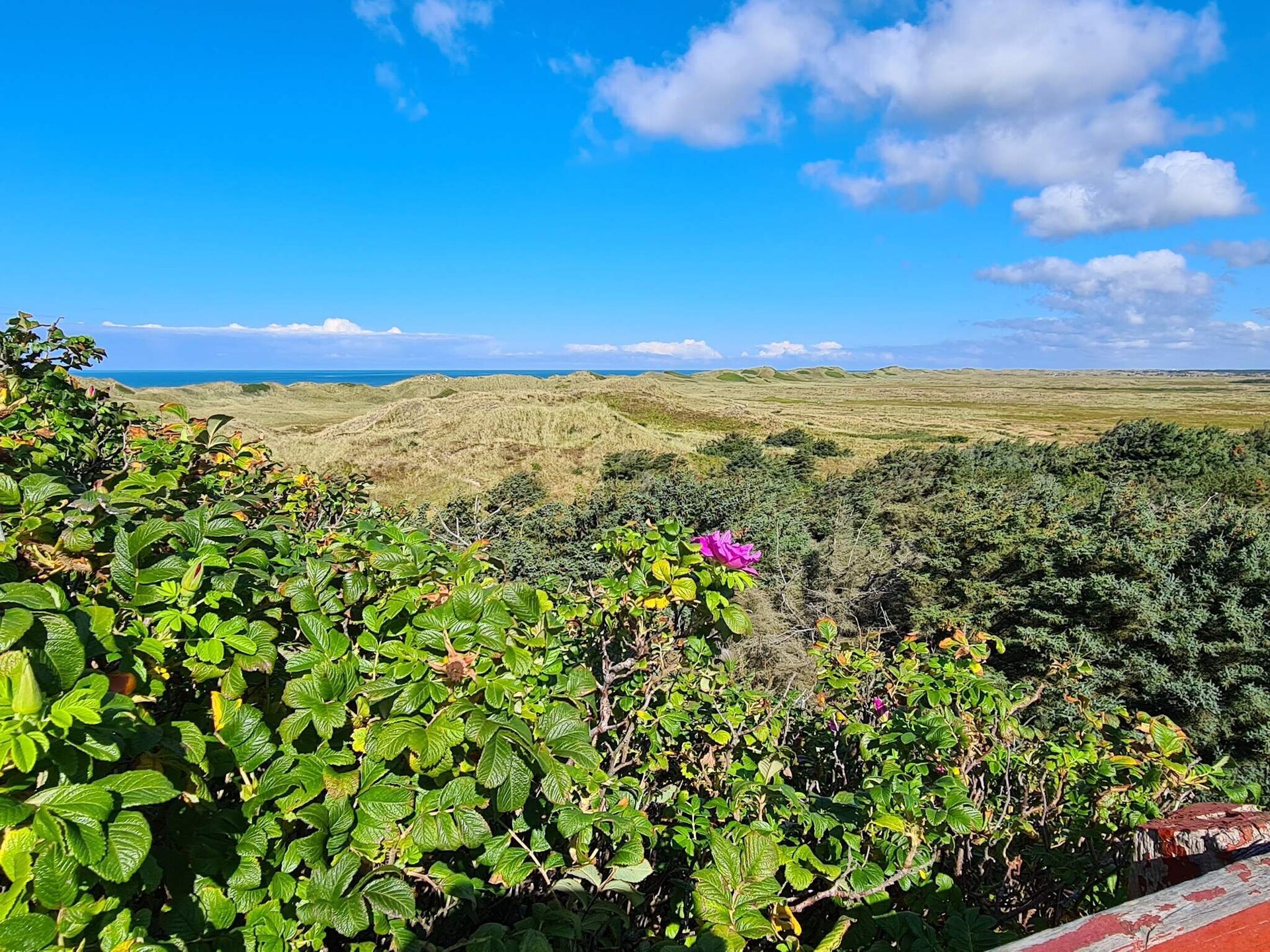 Praktisch vakantiehuis op natuurrijk perceel, 800m van zee bij Hvide Sande - foto 7
