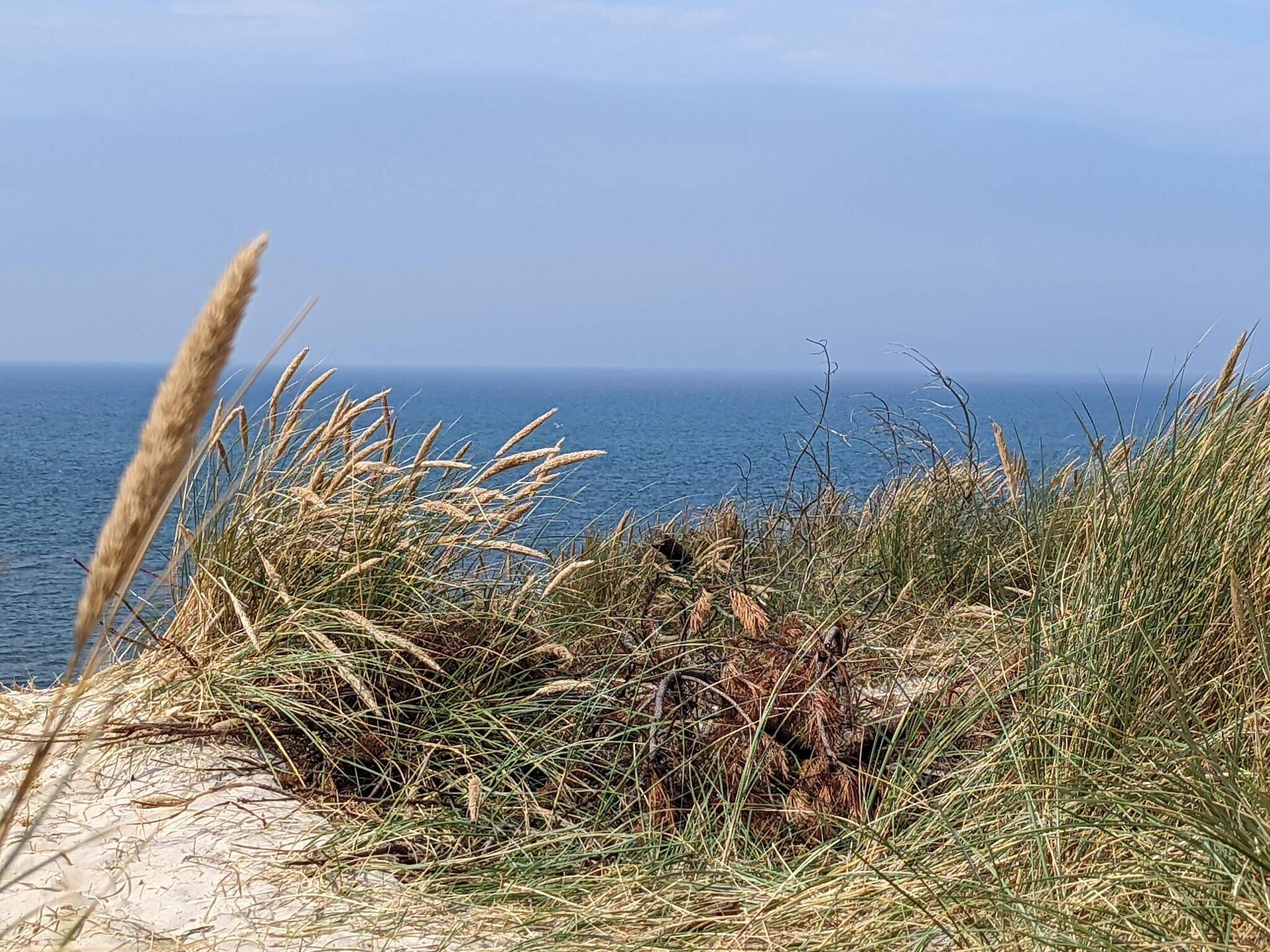 Praktisch vakantiehuis op natuurrijk perceel, 800m van zee bij Hvide Sande - foto 13