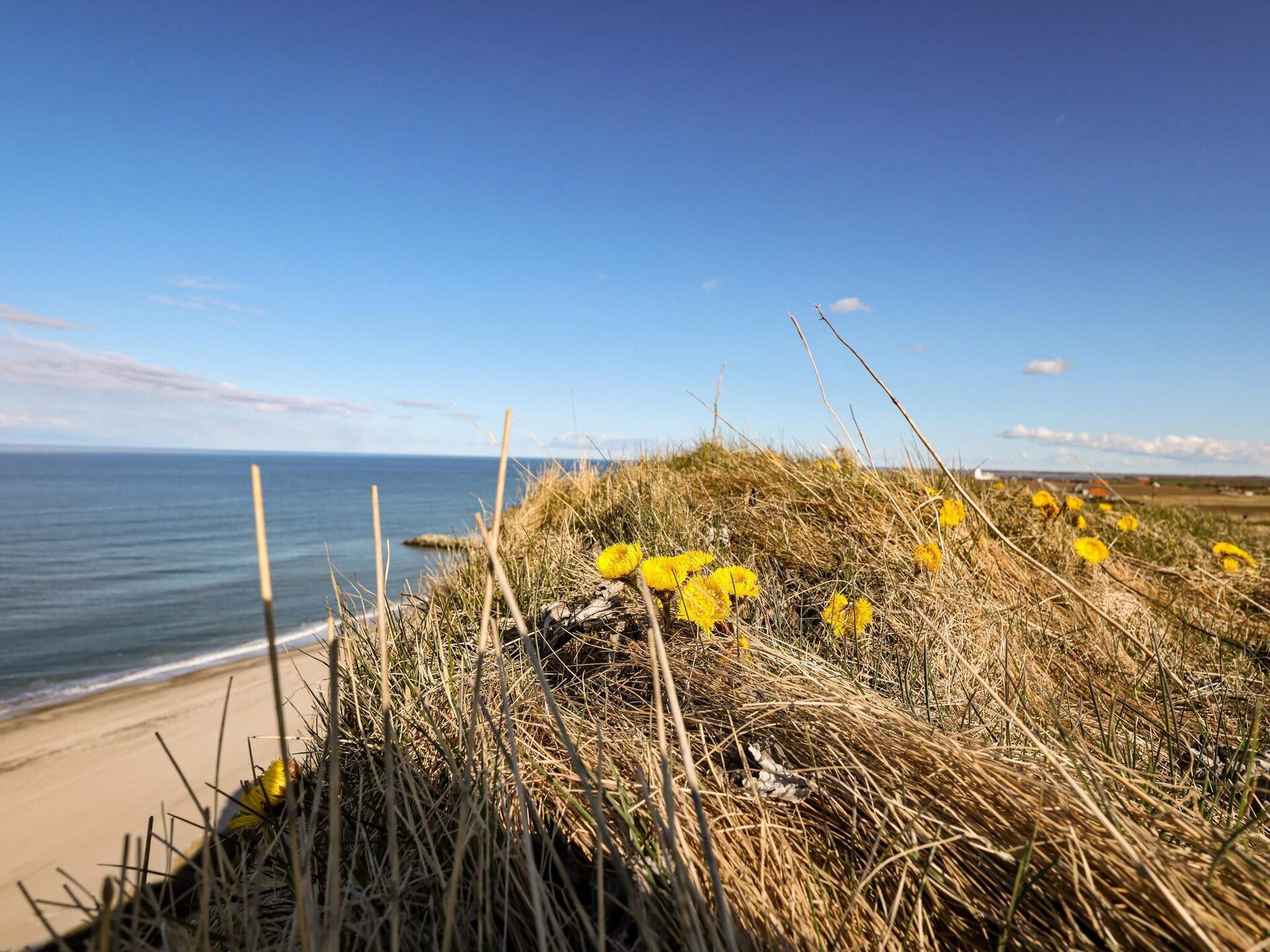 Vrijstaand vakantiehuis op 50 meter van de Noordzee in Lemvig - foto 26