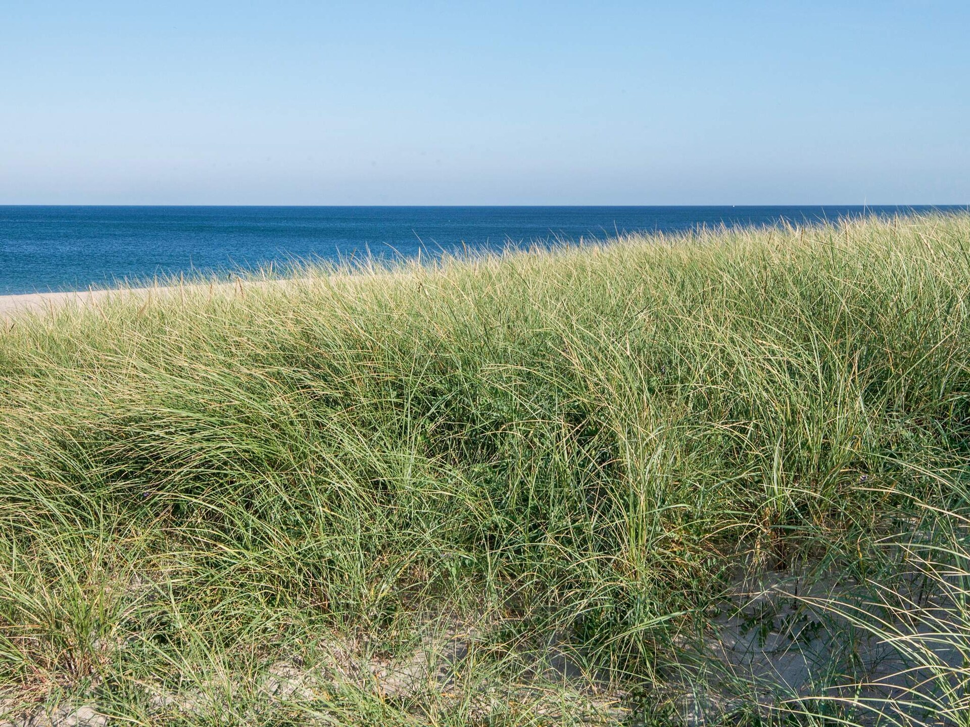 Energiezuinig vakantiehuis voor 12 personen met zwembad, sauna en zee op 50 meter - foto 3