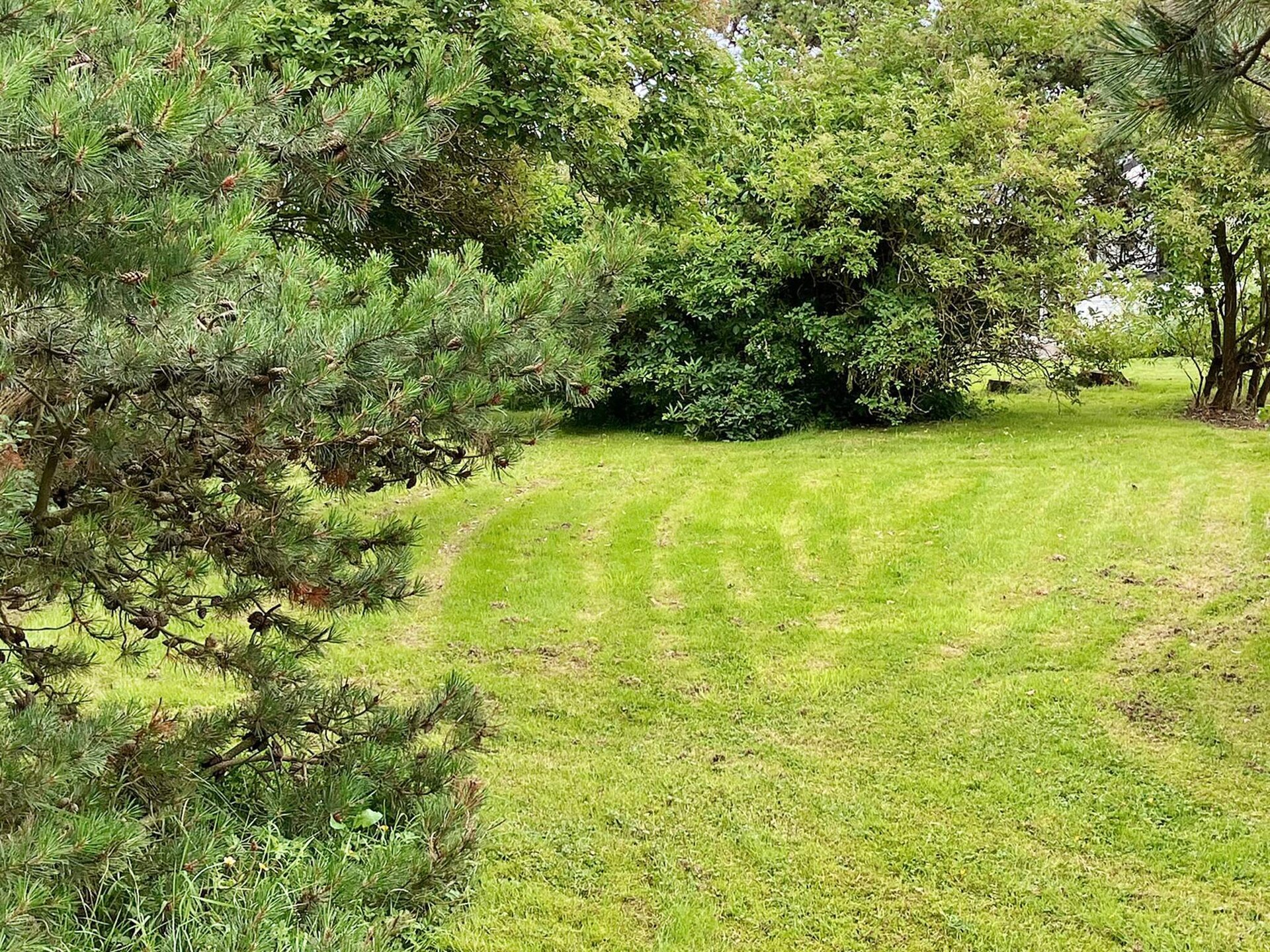Knus vakantiehuis op natuurkavel met uitzicht op de fjord bij Lemvig - foto 5