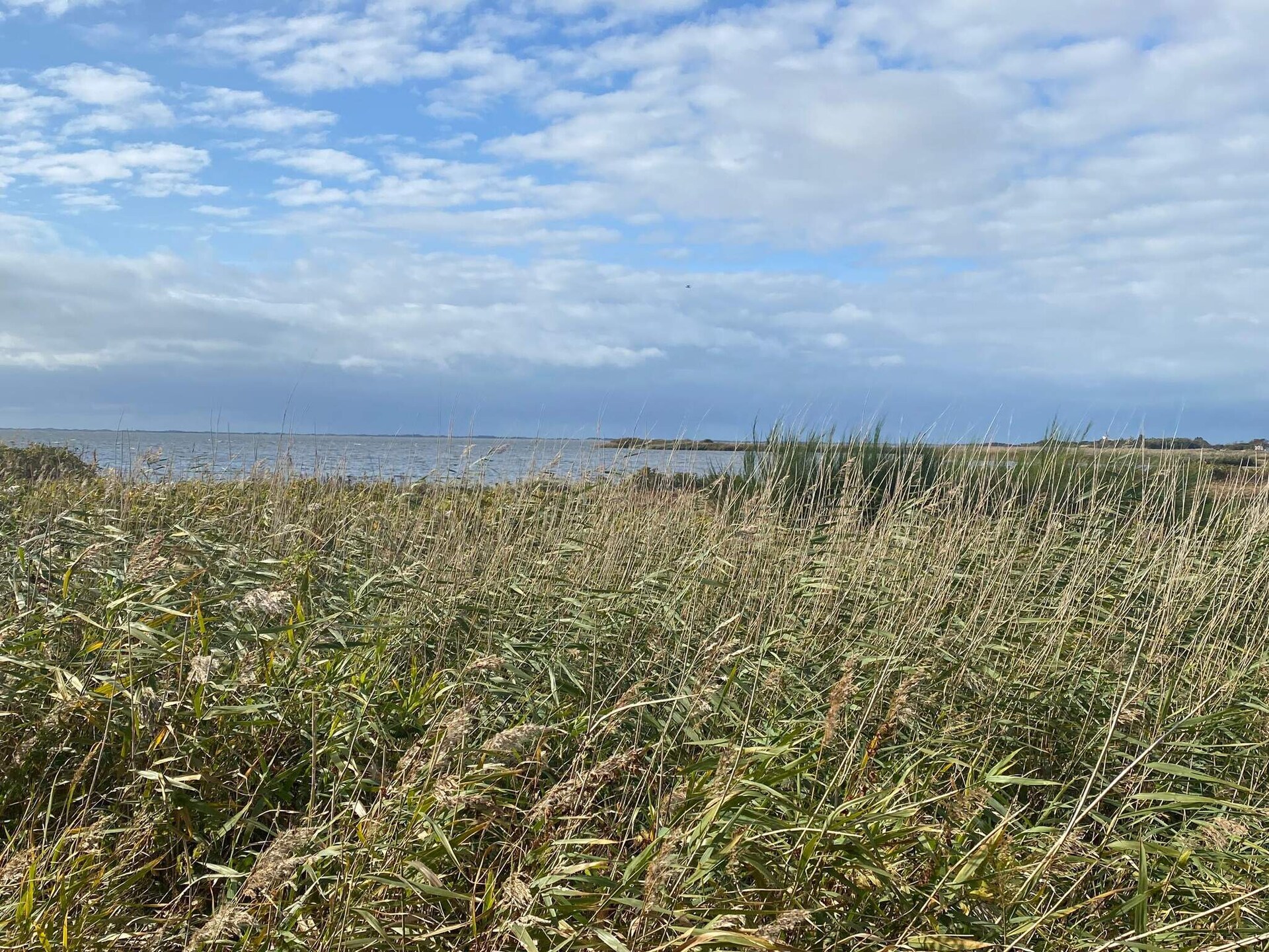 Knus vrijstaand vakantiehuis bij Skjern, 400 meter van Ringkøbing Fjord - foto 2
