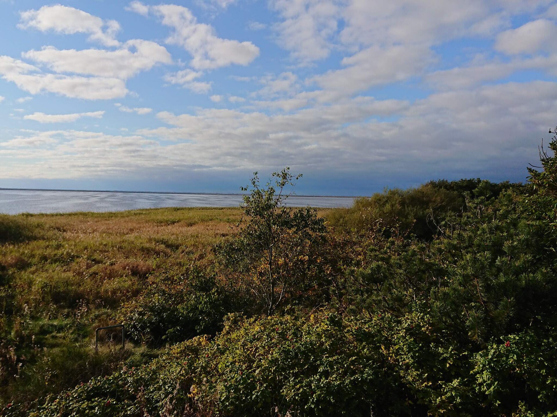 Knus vrijstaand vakantiehuis bij Skjern, 400 meter van Ringkøbing Fjord - foto 7