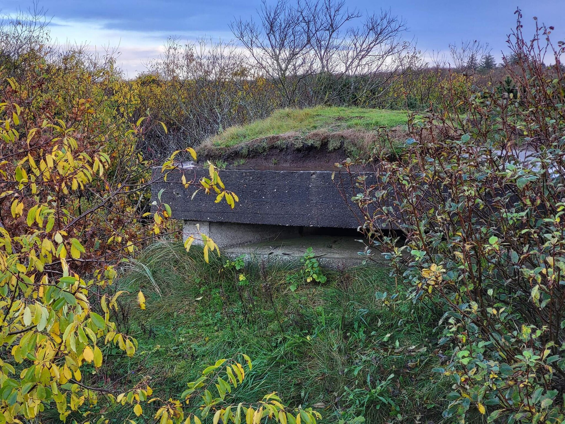 Knus vrijstaand vakantiehuis bij Skjern, 400 meter van Ringkøbing Fjord - foto 8