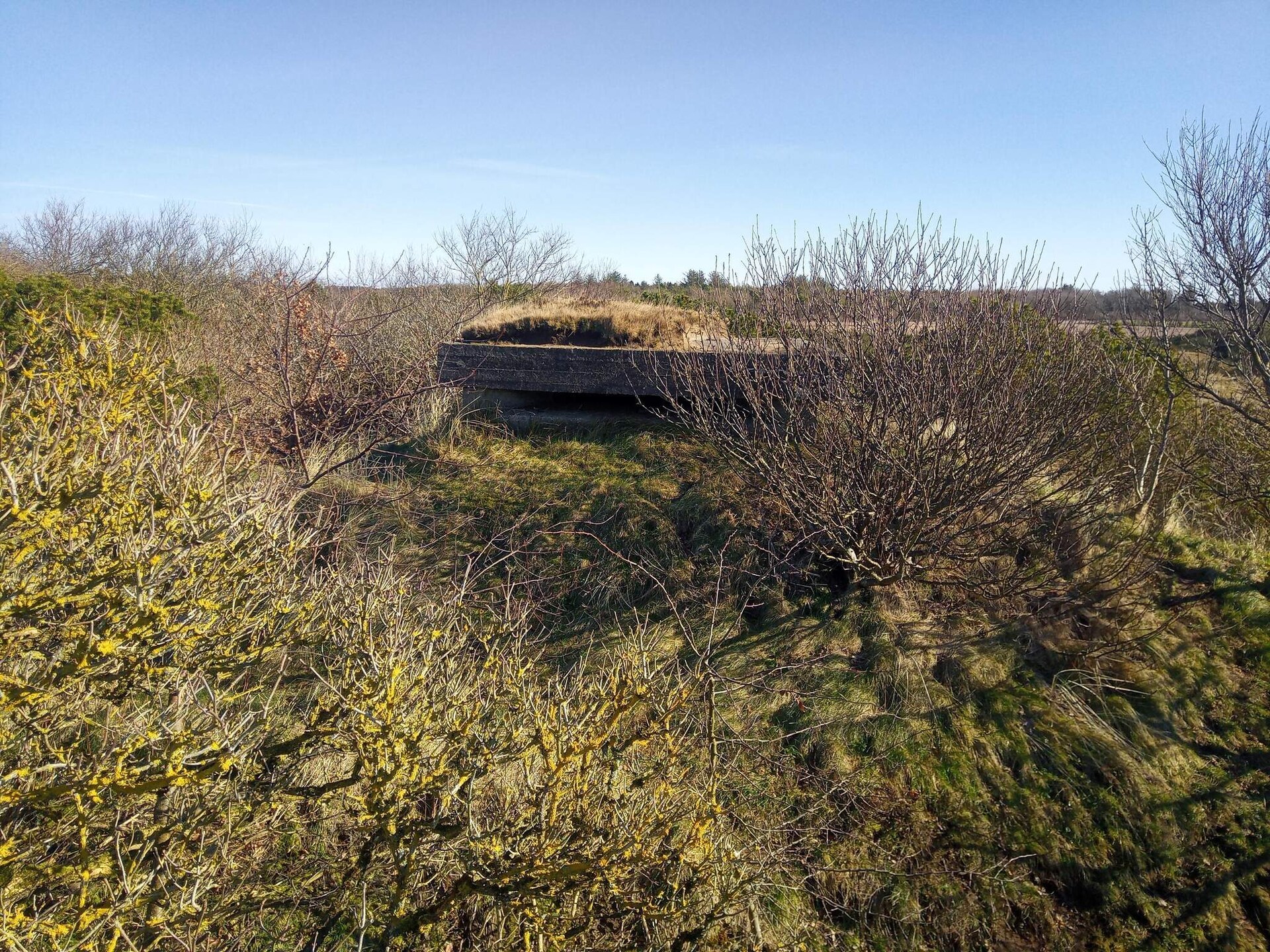 Knus vrijstaand vakantiehuis bij Skjern, 400 meter van Ringkøbing Fjord - foto 10