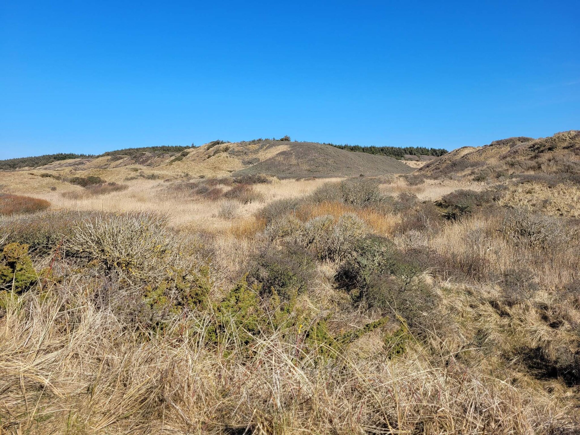 Knus houten huis in de duinen bij Tornby Strand op 500 meter - foto 3