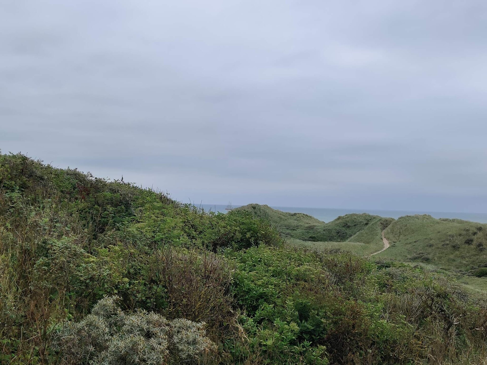 Knus houten huis in de duinen bij Tornby Strand op 500 meter - foto 7
