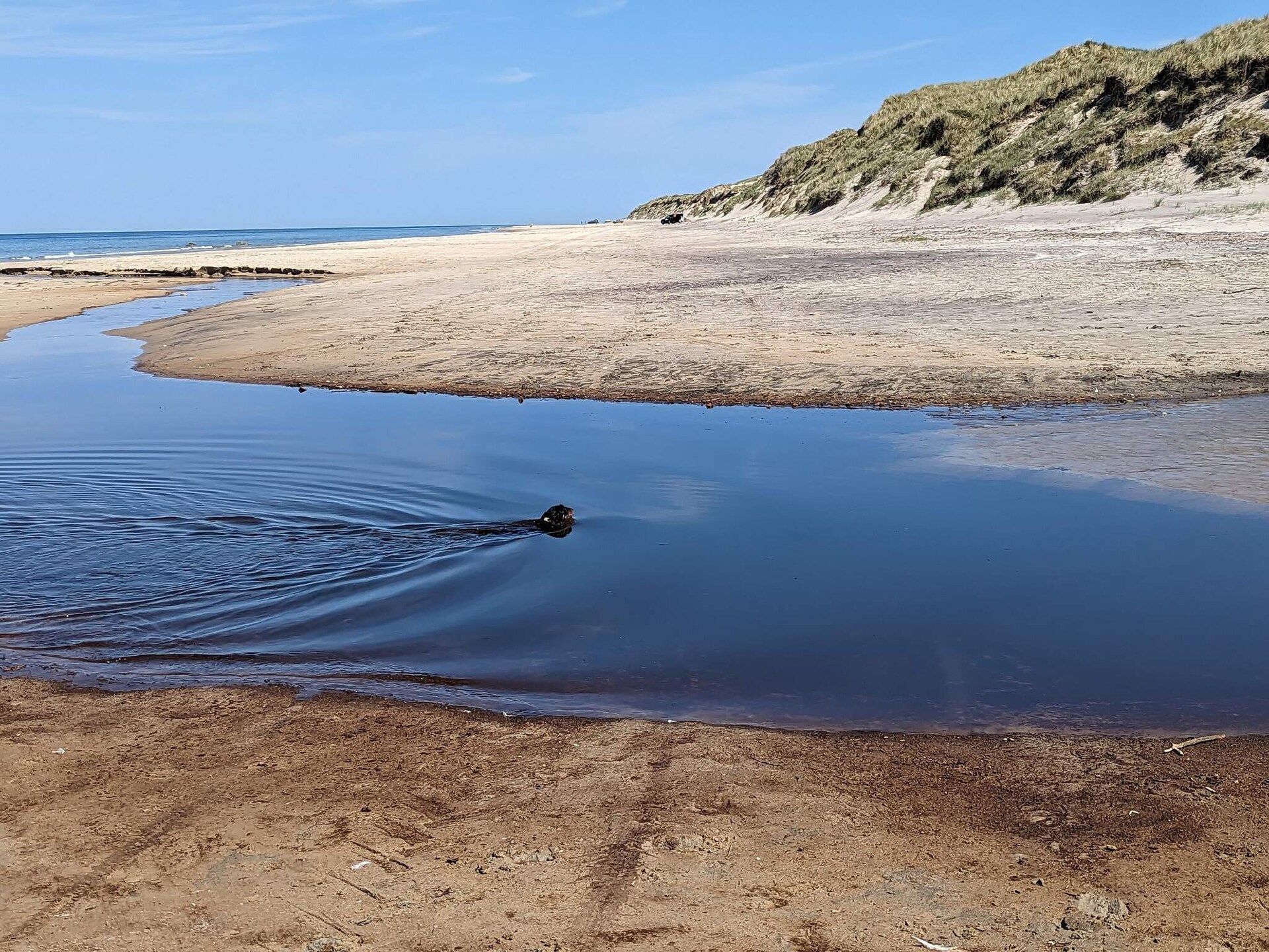 Knus houten huis in de duinen bij Tornby Strand op 500 meter - foto 17
