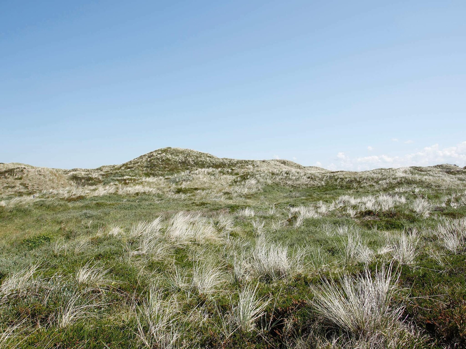 Knus vakantiehuis op duinperceel, 400 meter van de zee bij Pandrup - foto 23