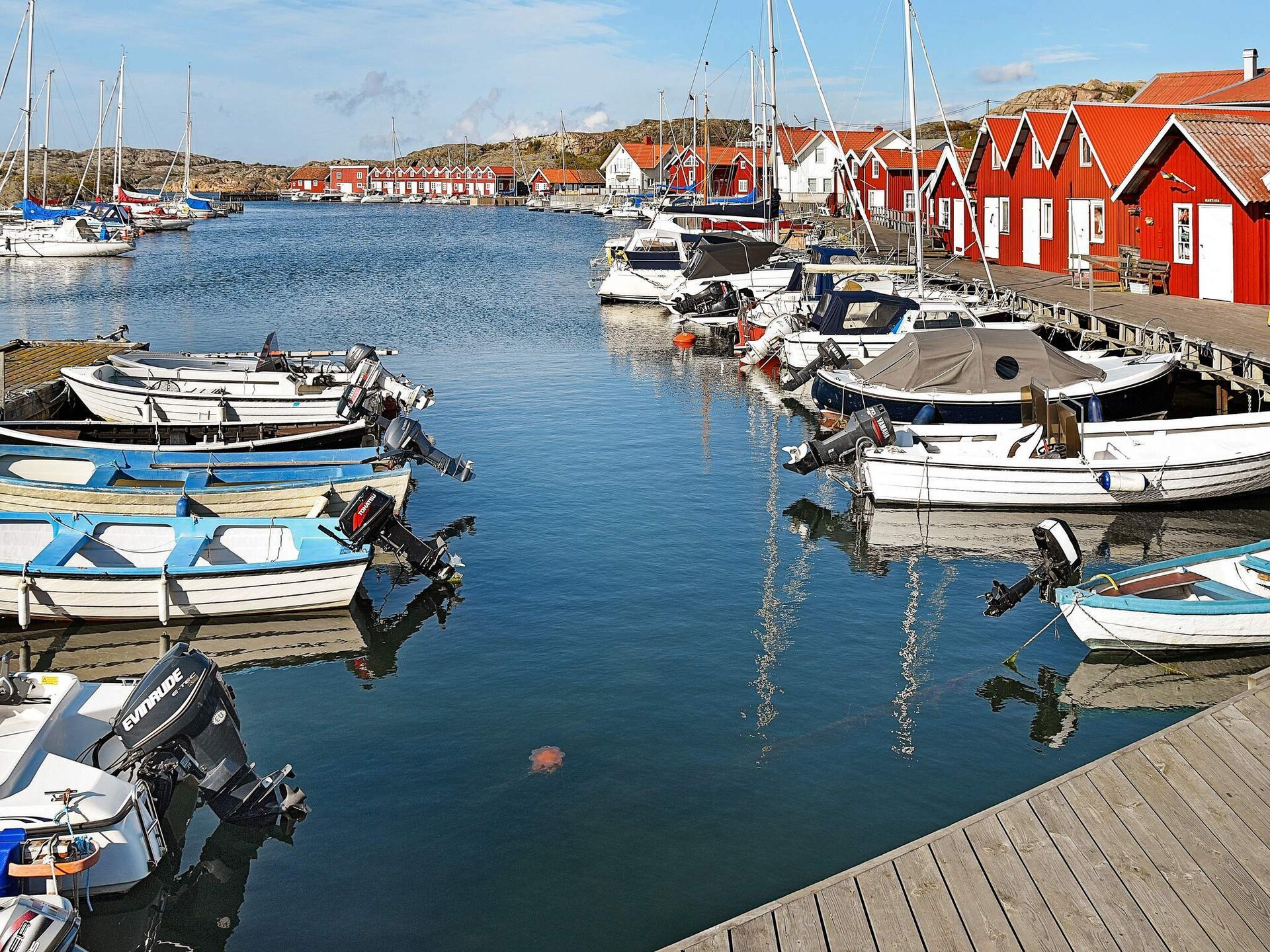Klein maar fijn vakantiehuis met panoramisch zeezicht op Tjörn - foto 17