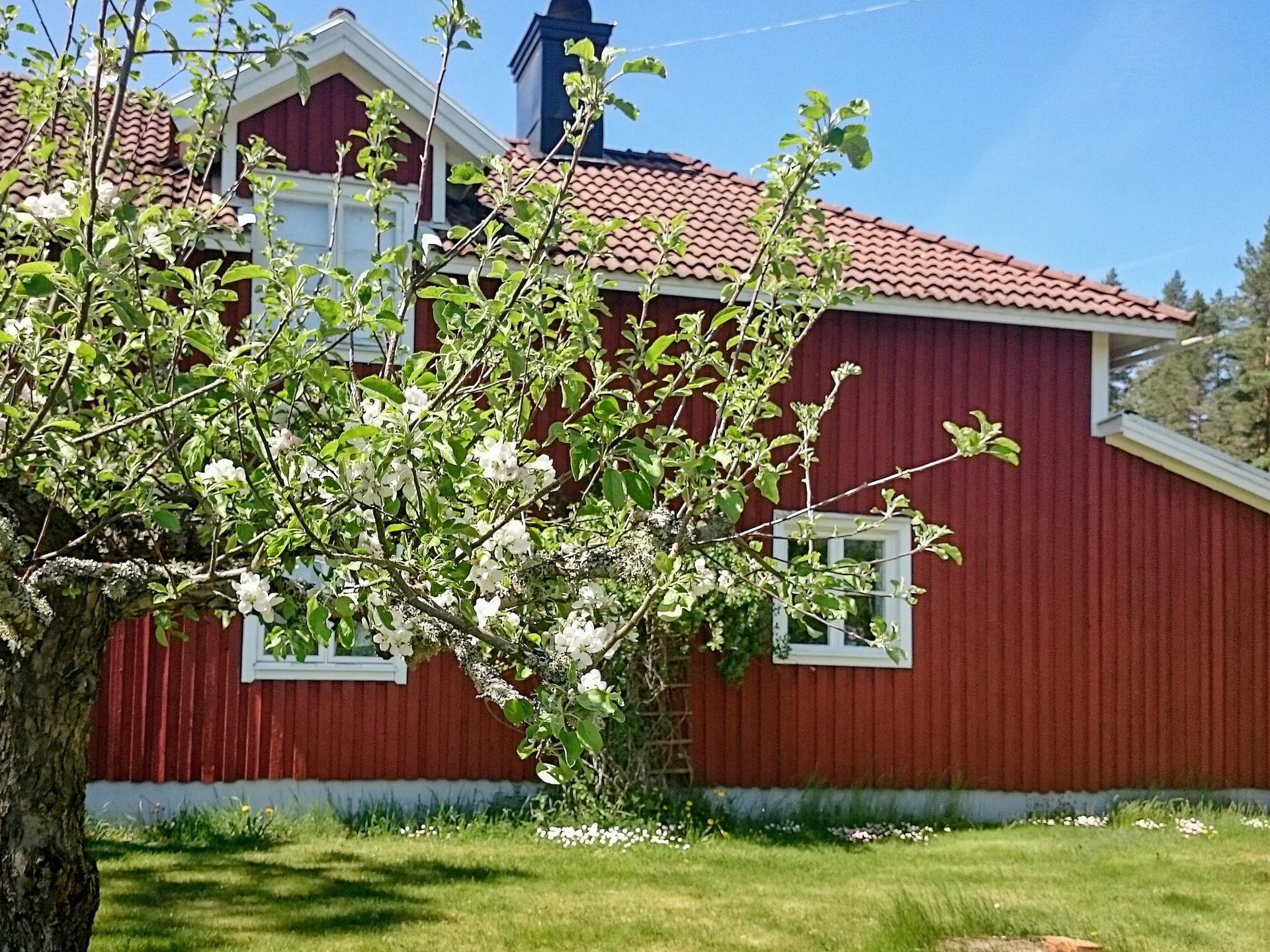 Traditioneel Zweedse woning met veranda en houtkachel nabij Västervik - foto 7