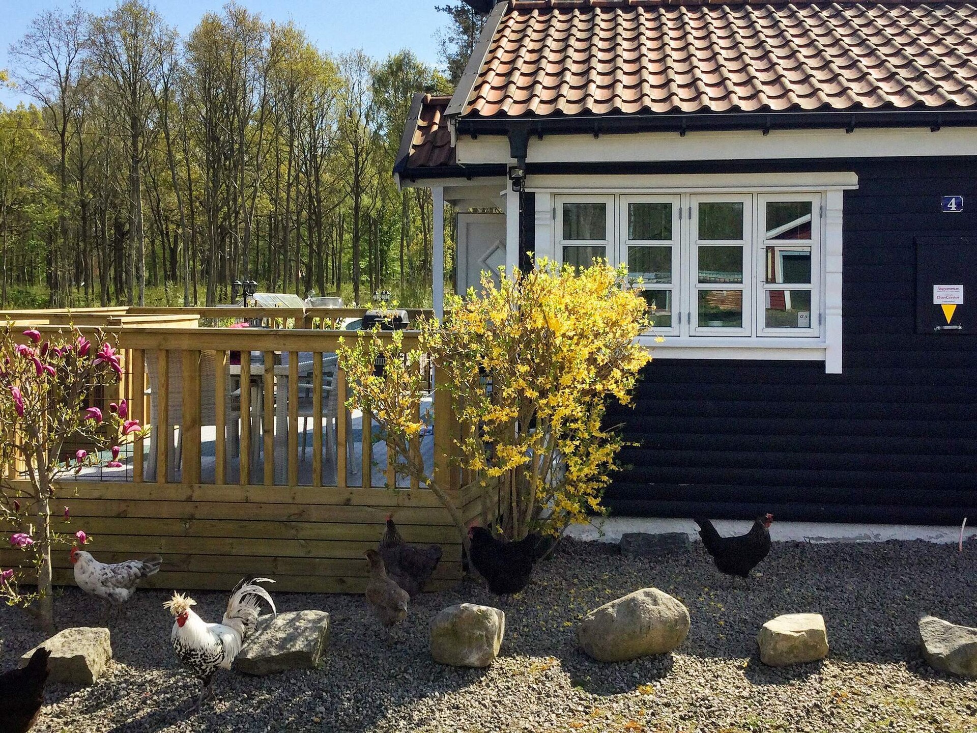 Sfeervol vakantiehuis op 80 meter van de Oostzee in Pukavik - foto 6