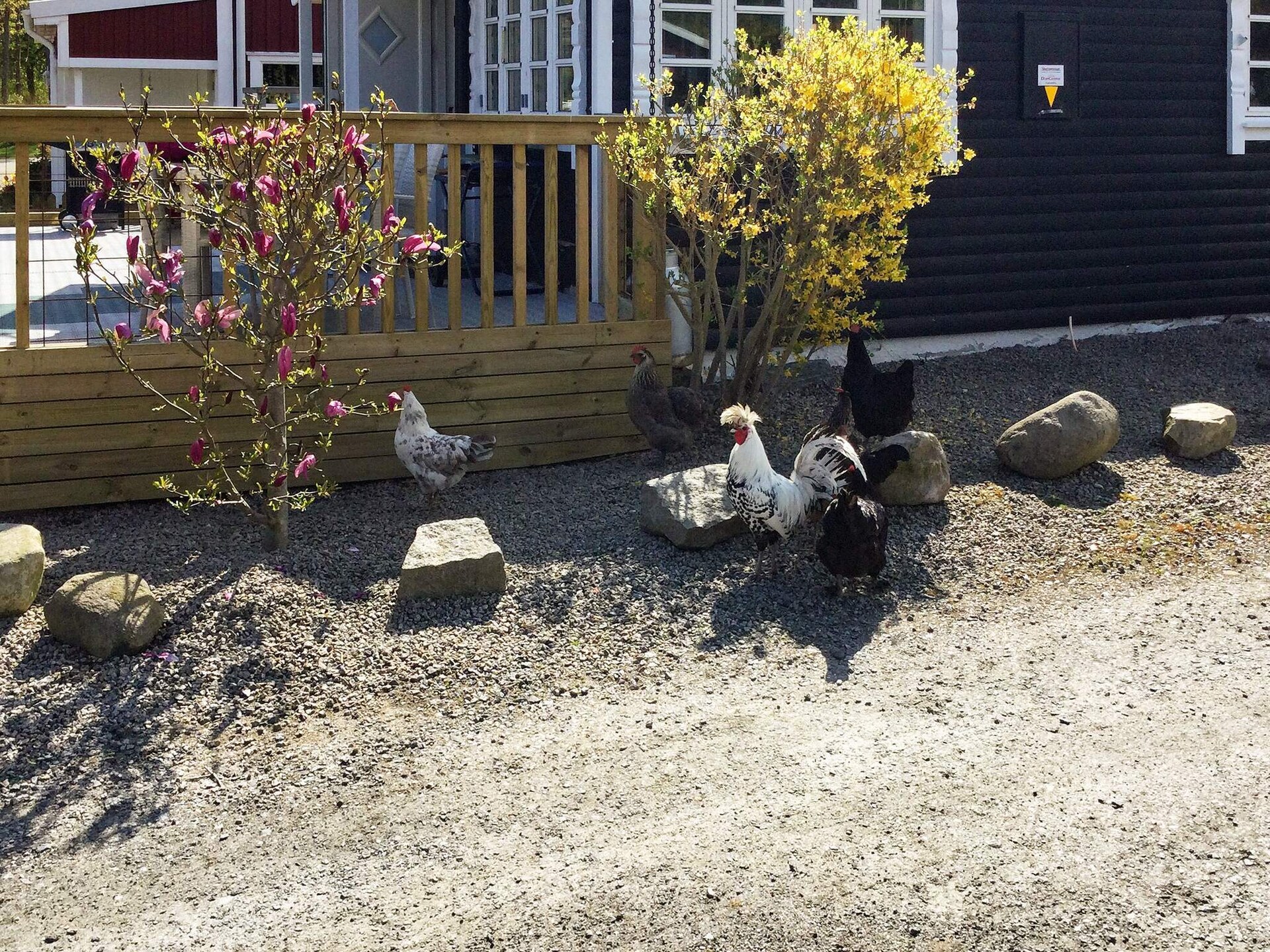 Sfeervol vakantiehuis op 80 meter van de Oostzee in Pukavik - foto 21