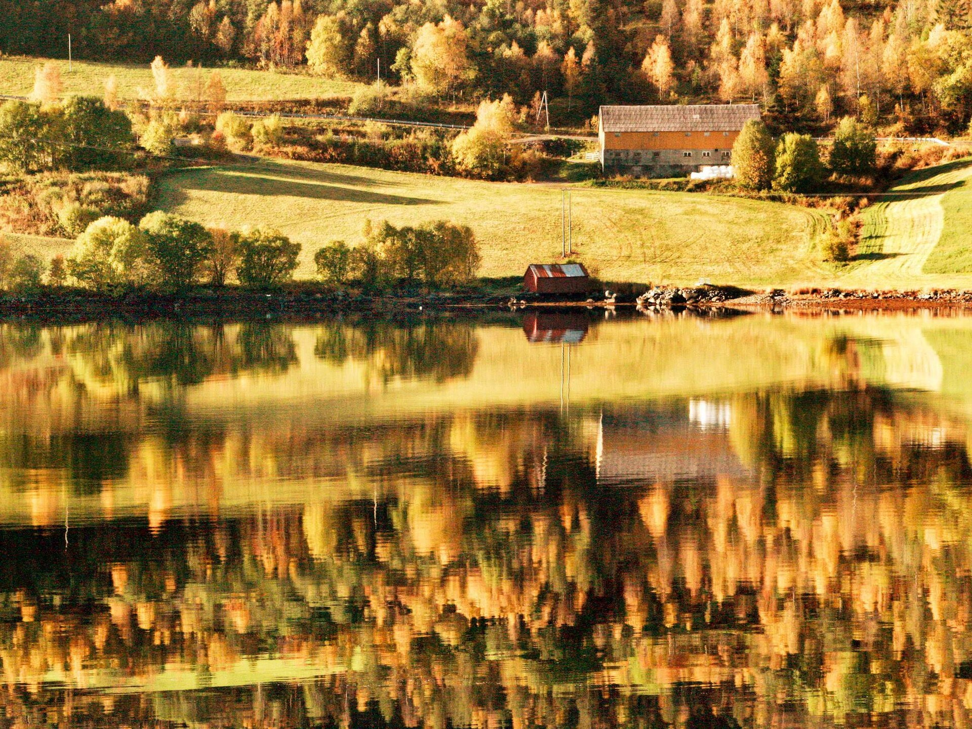 Zuidgerichte vakantiewoning aan de Skålvikfjord met fjordzicht en boothuur - foto 30