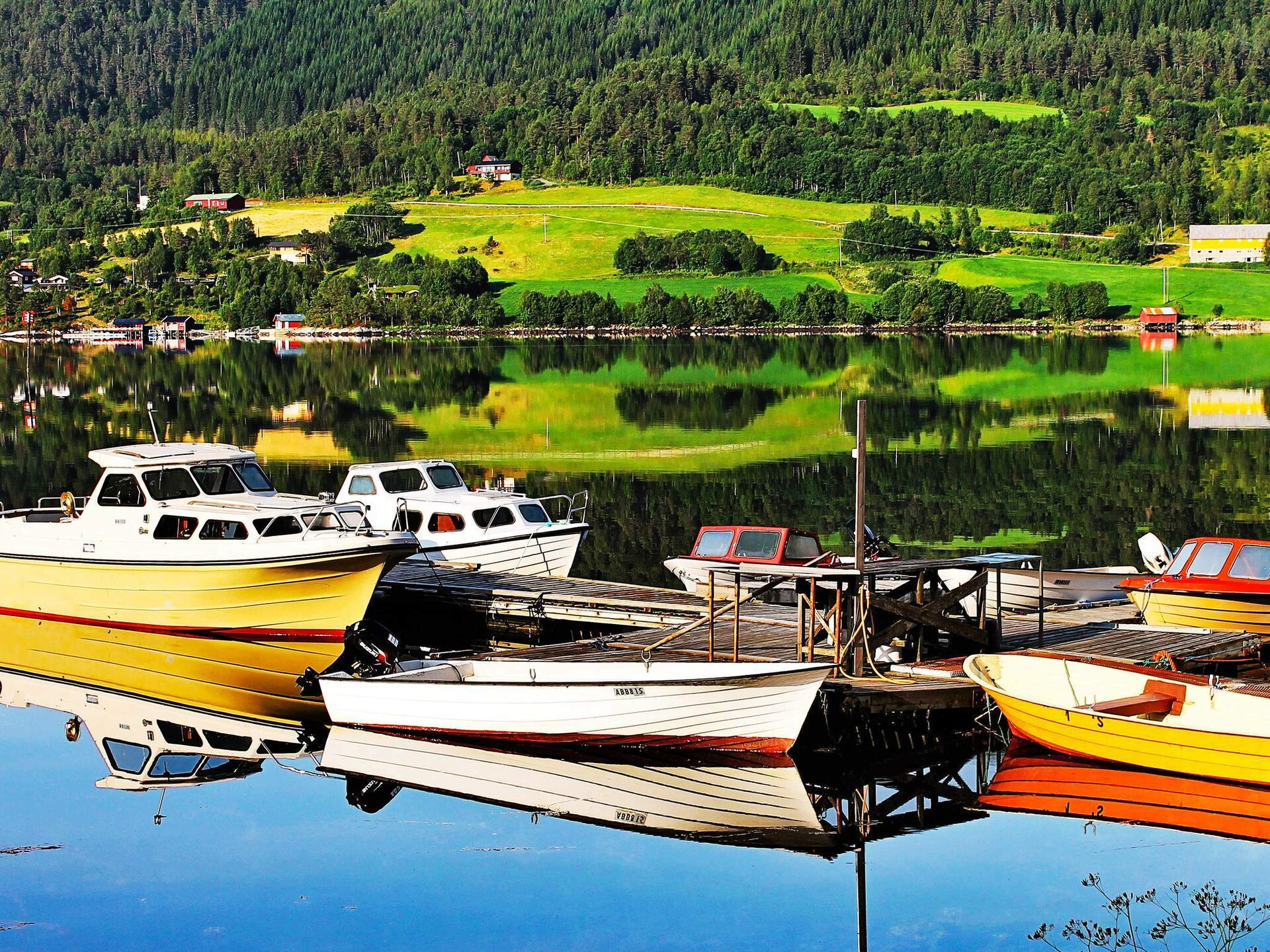 Zuidgerichte vakantiewoning aan de Skålvikfjord met fjordzicht en boothuur - foto 32