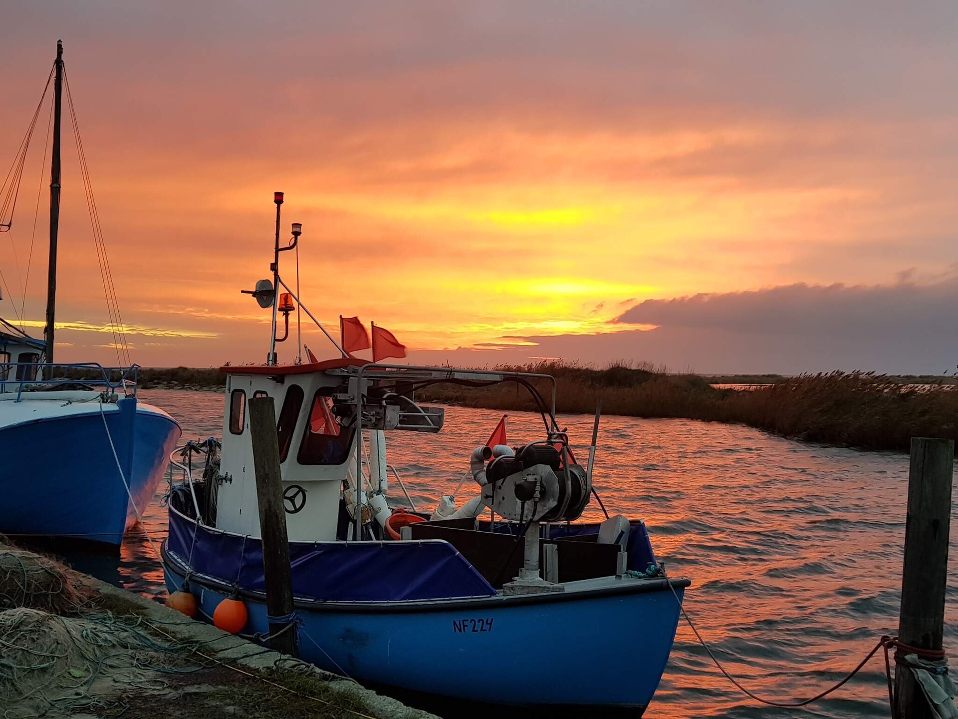 Vrijstaand vakantiehuis met annexen op 600 meter van de zee bij Dannemare - foto 15
