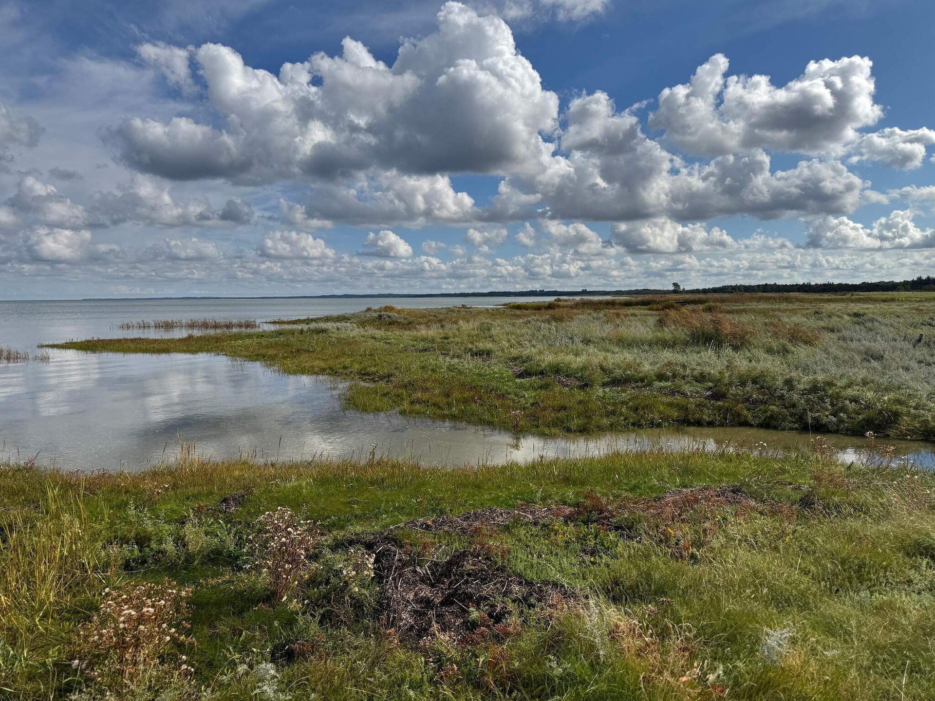 8-persoons vakantiehuis aan zee in Ørsted - foto 11