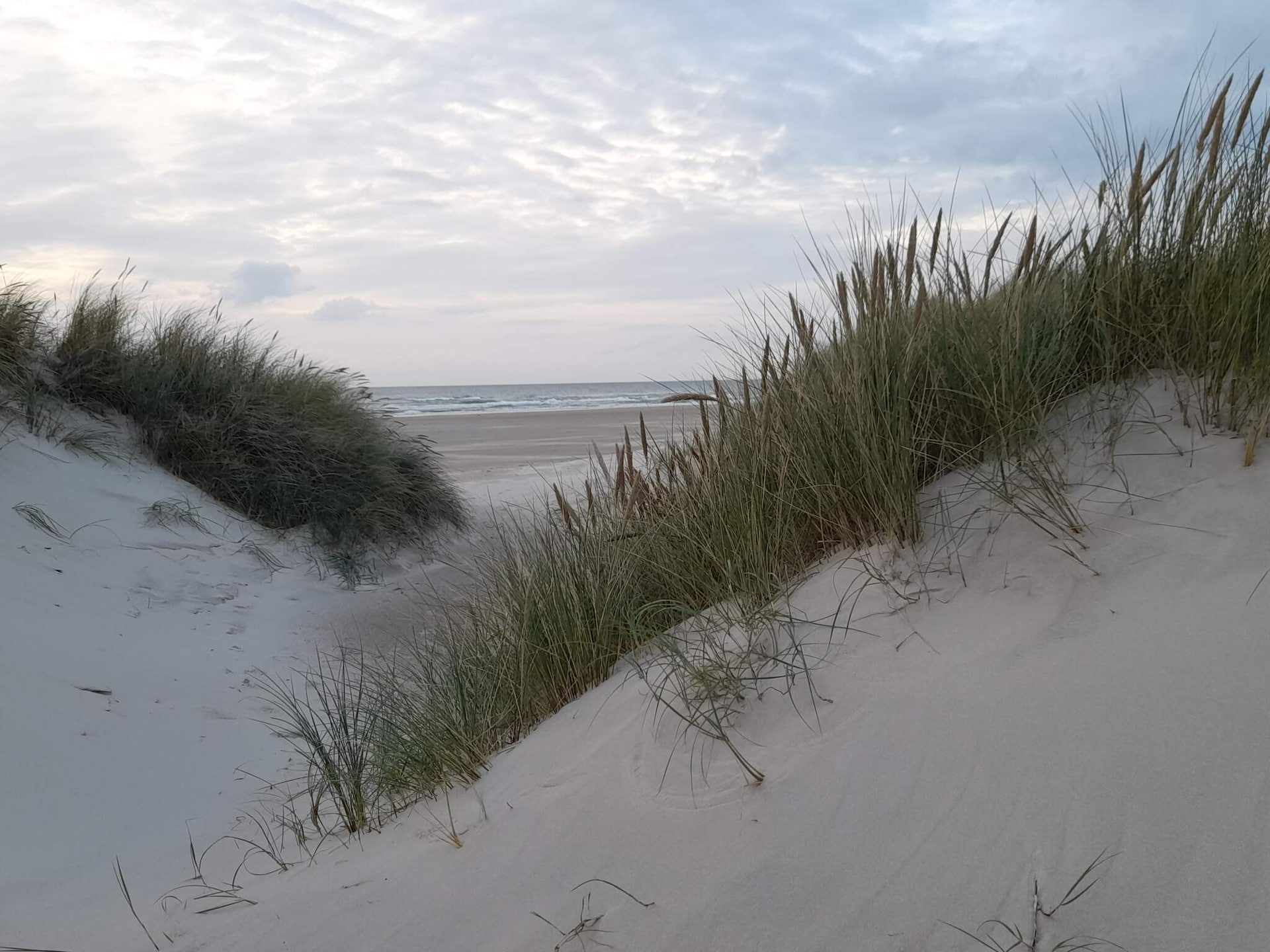 Sfeervol vakantiehuis in Saltum op groot natuurperceel - foto 4