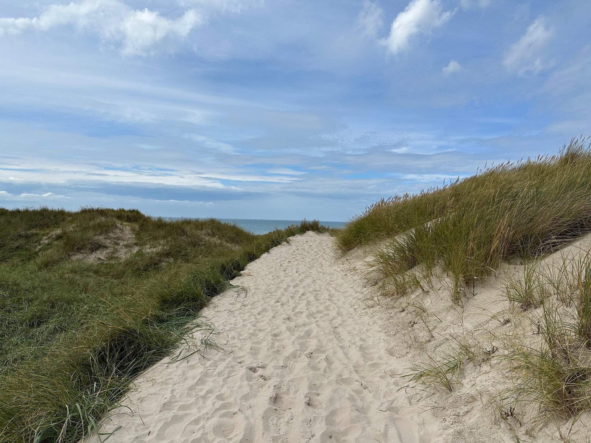 Sfeervol vakantiehuis in Saltum op groot natuurperceel - foto 17