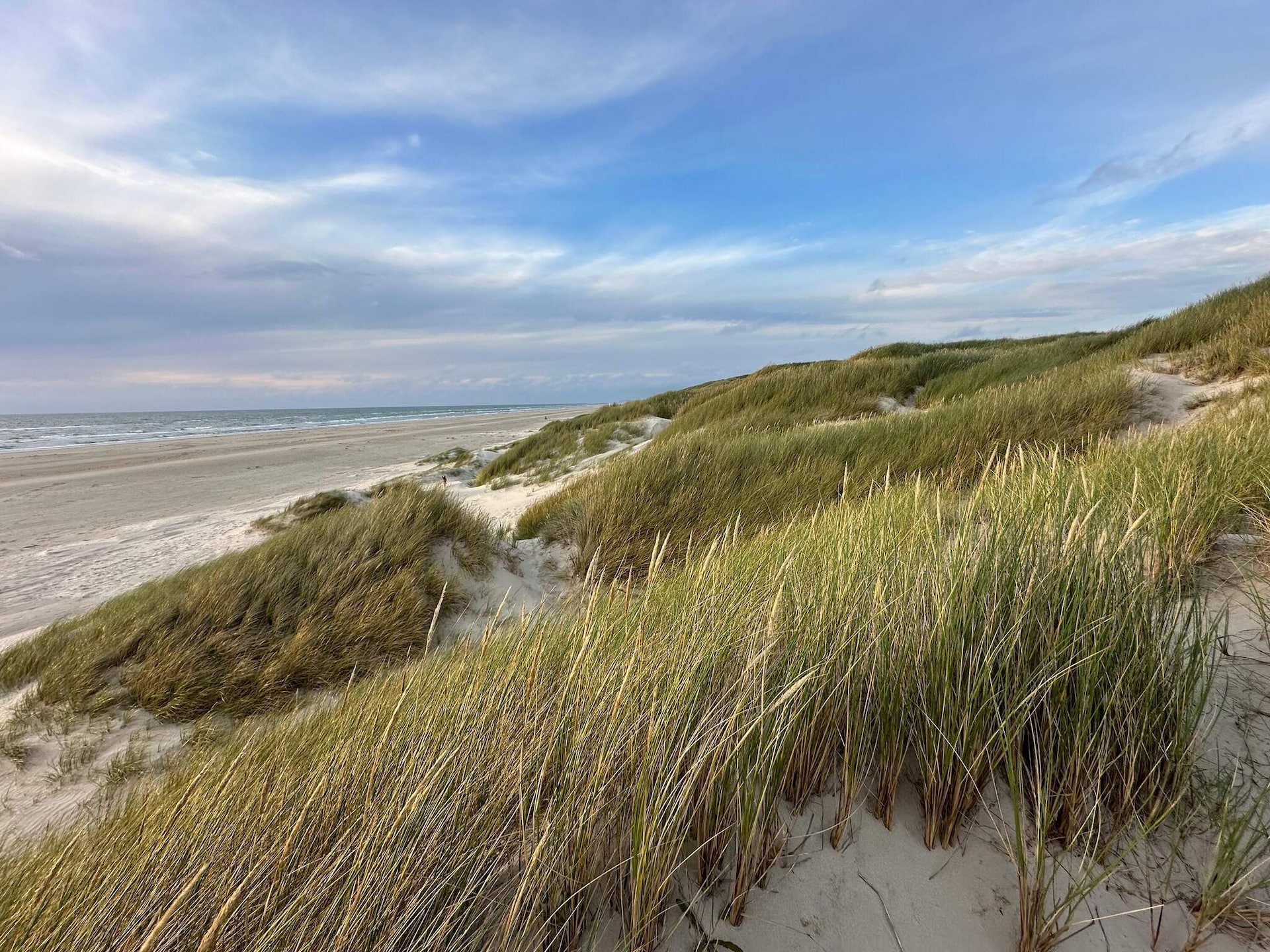Sfeervol vakantiehuis in Saltum op groot natuurperceel - foto 19