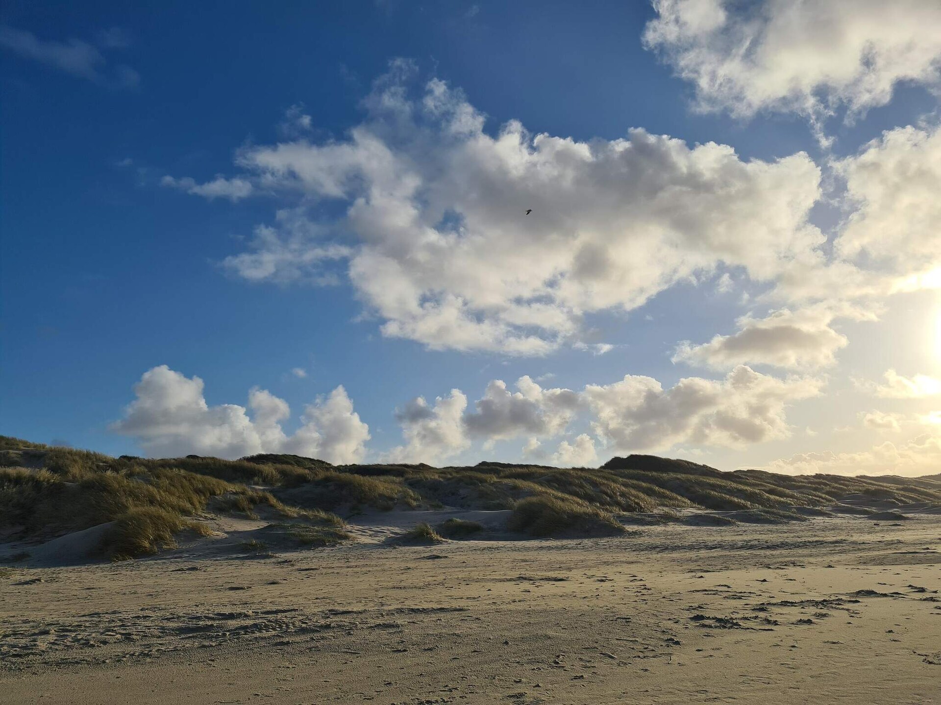 Sfeervol vakantiehuis in Saltum op groot natuurperceel - foto 21