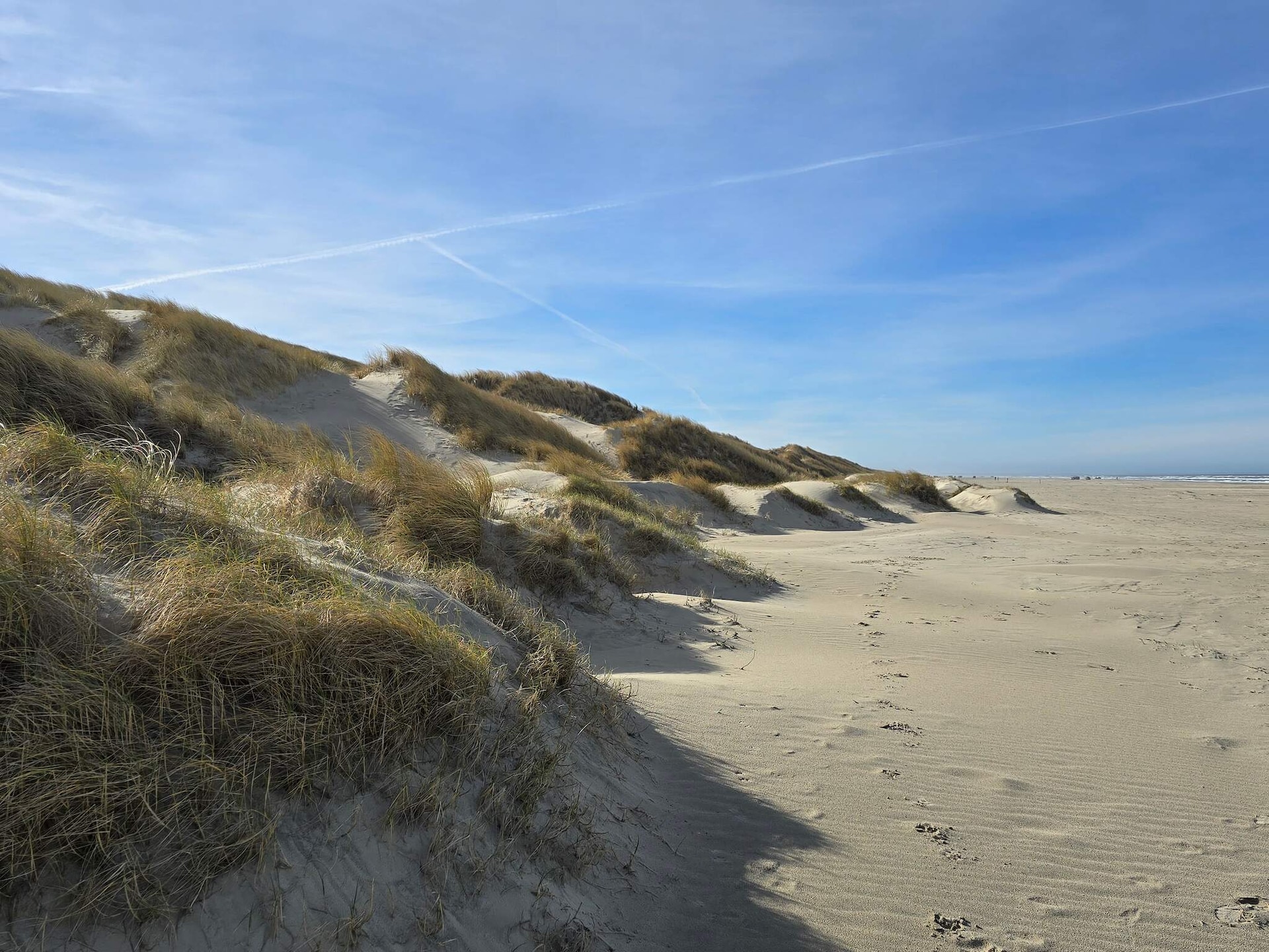 Sfeervol vakantiehuis in Saltum op groot natuurperceel - foto 22